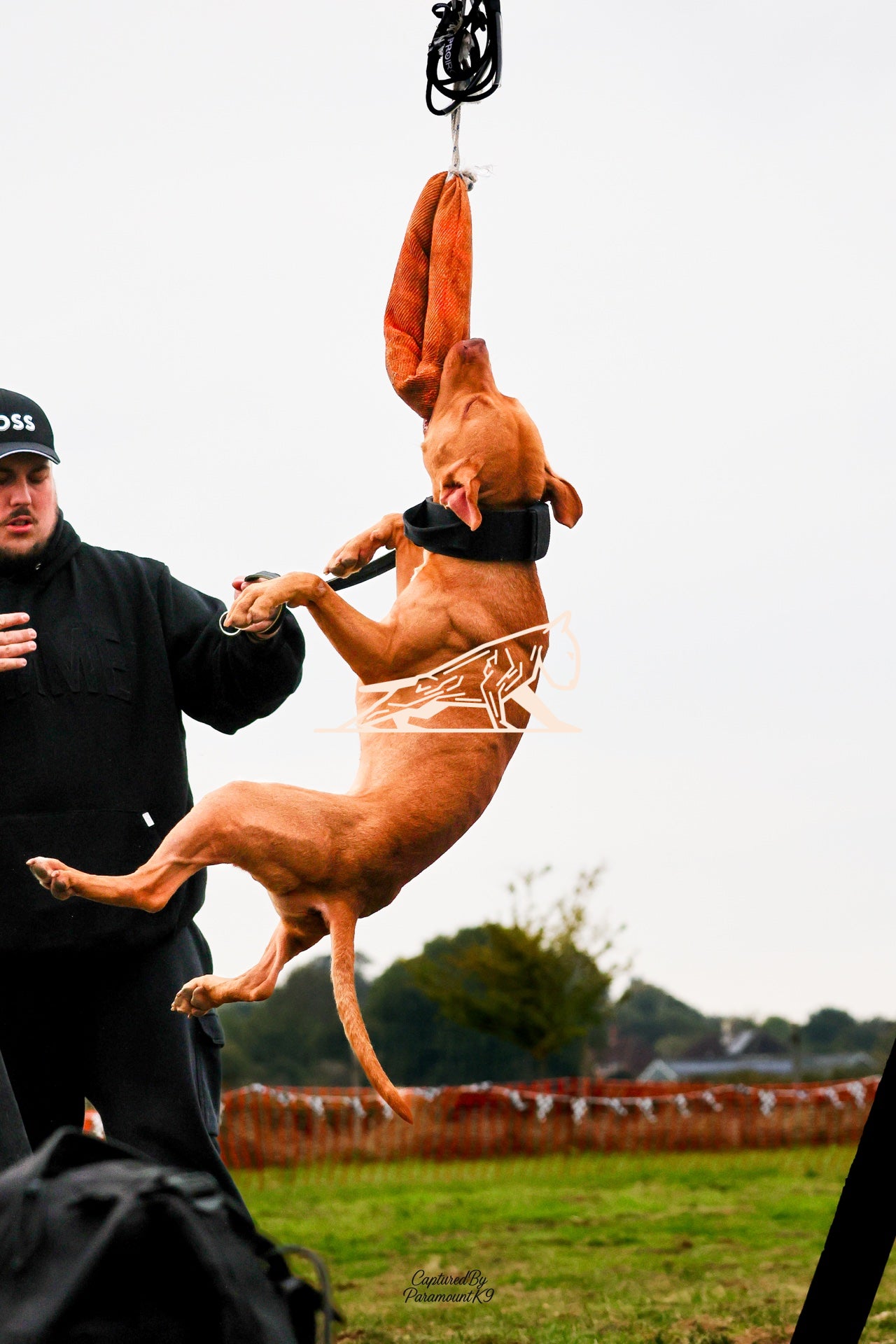 Topline's Ultra Games - Image 003