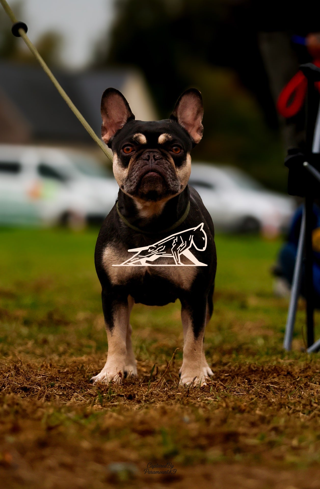 Topline's Ultra Games - Image 006