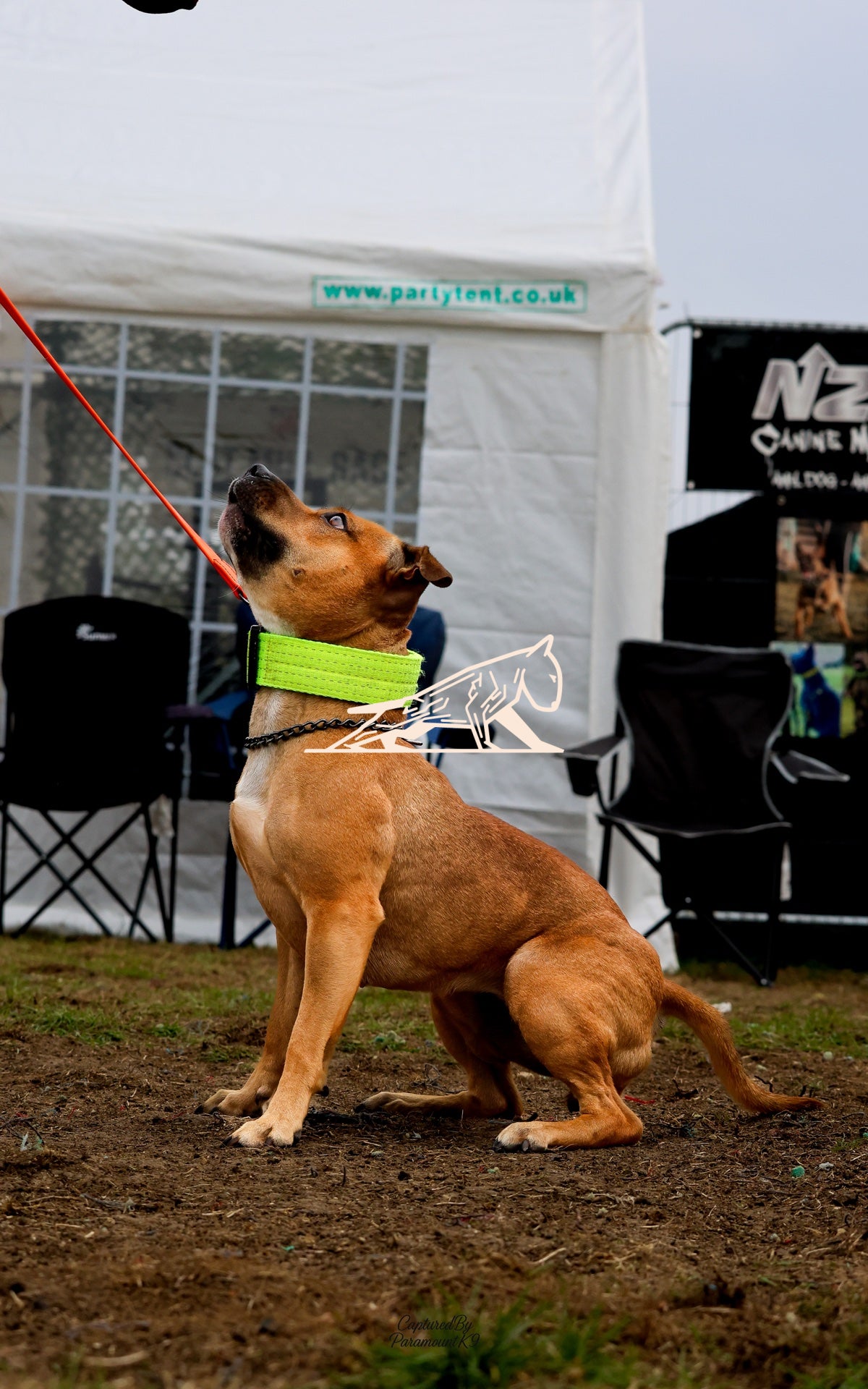 Topline's Ultra Games - Image 012