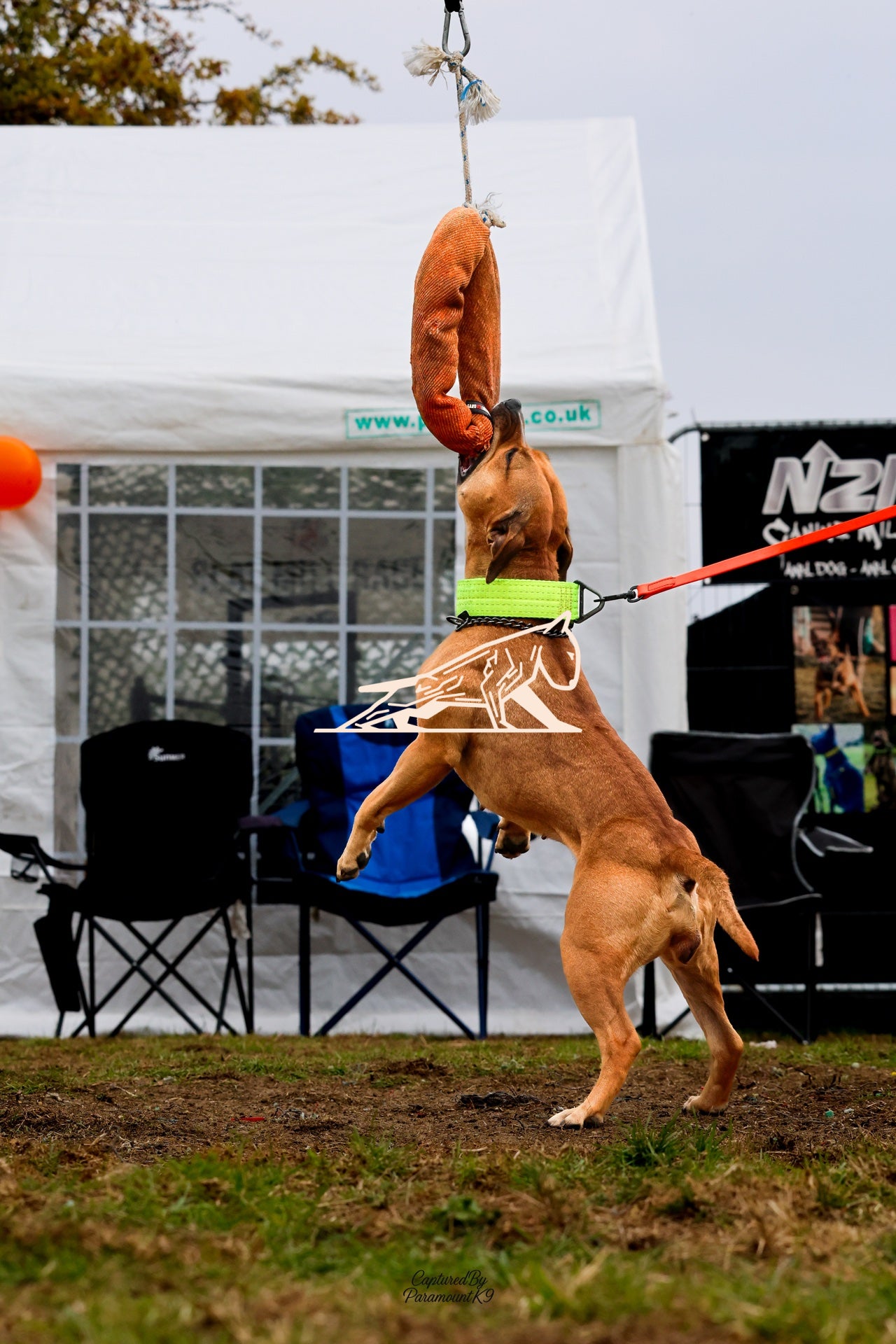 Topline's Ultra Games - Image 015