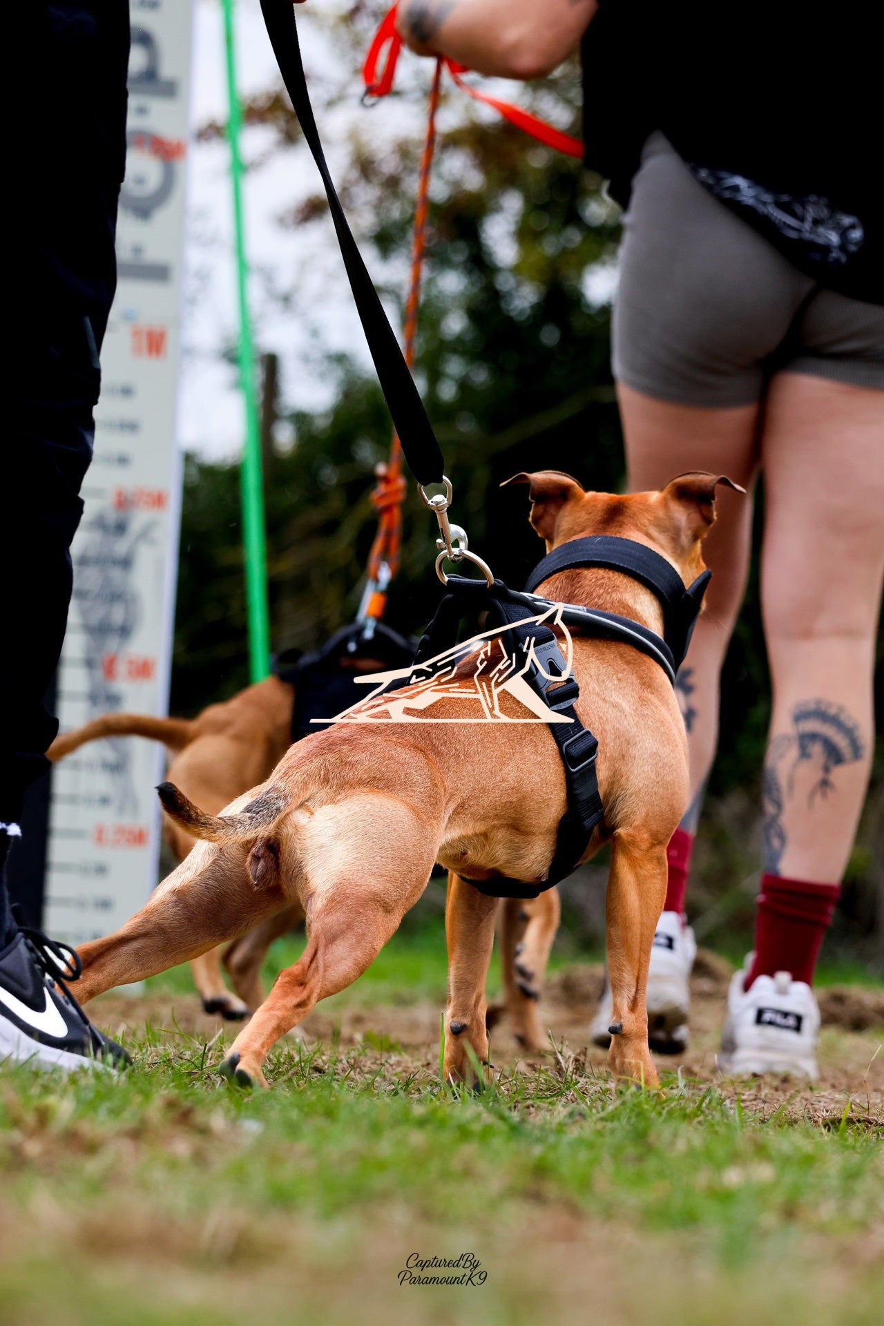 Topline's Ultra Games - Image 020