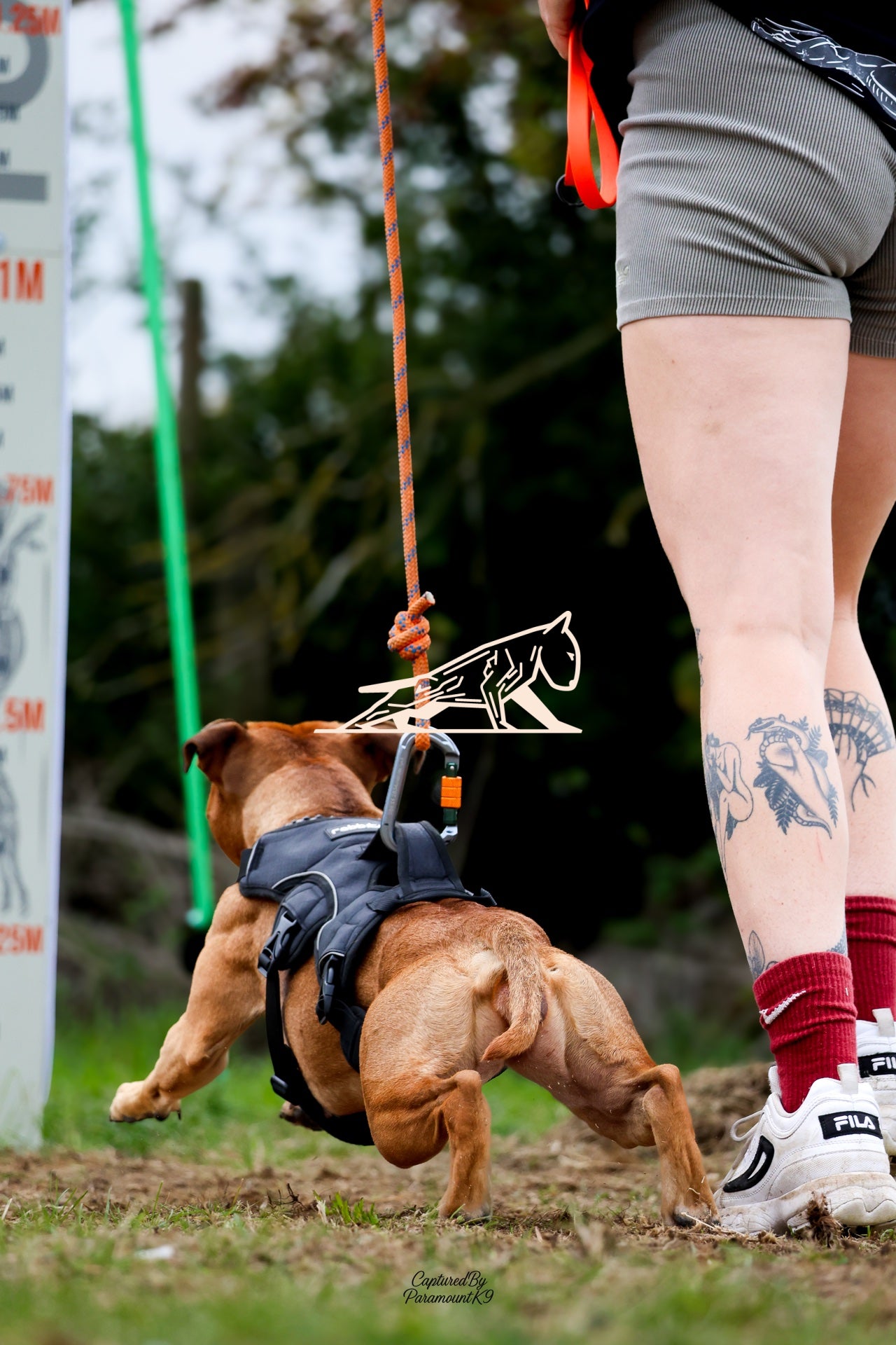 Topline's Ultra Games - Image 021