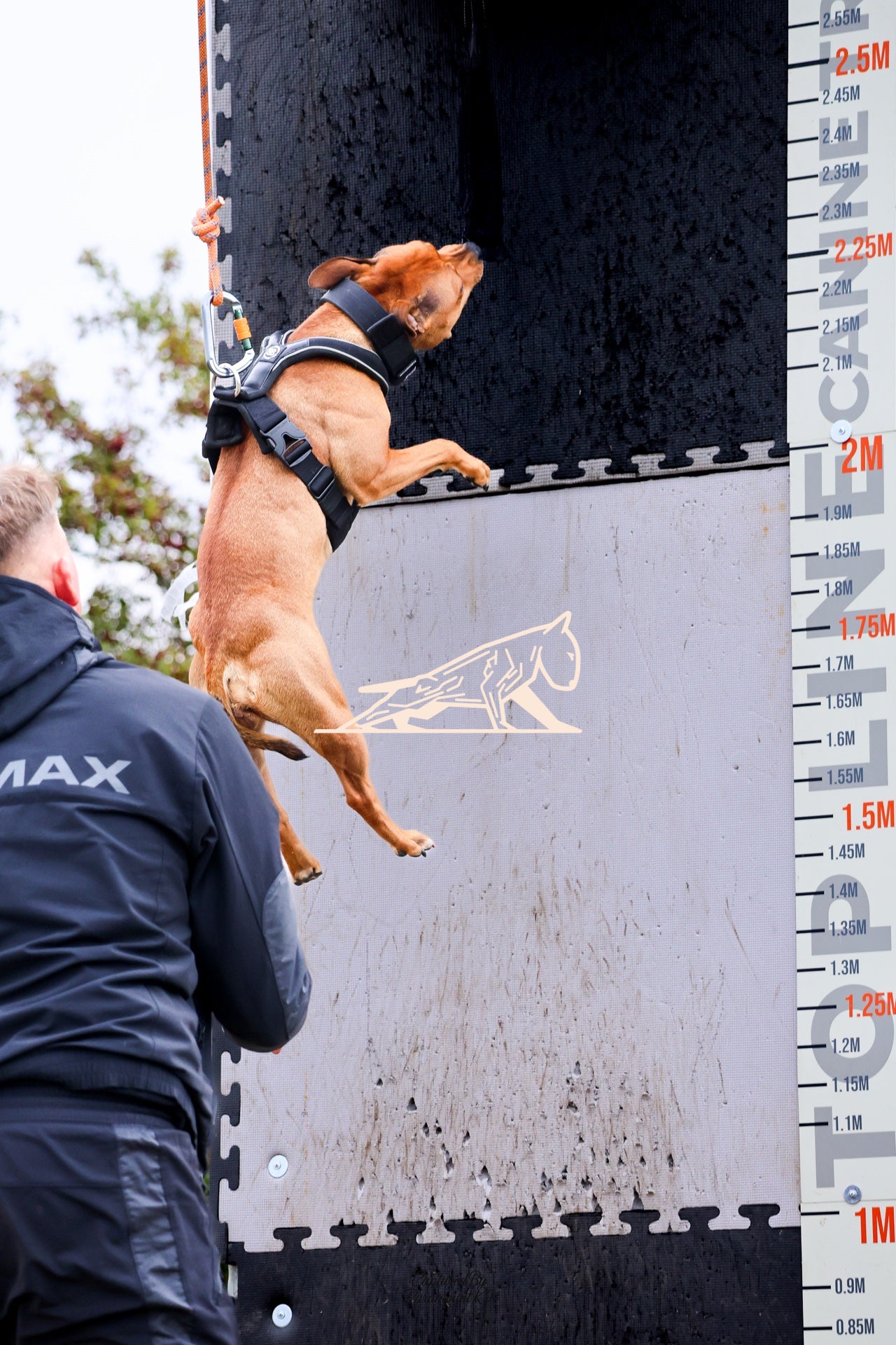 Topline's Ultra Games - Image 025