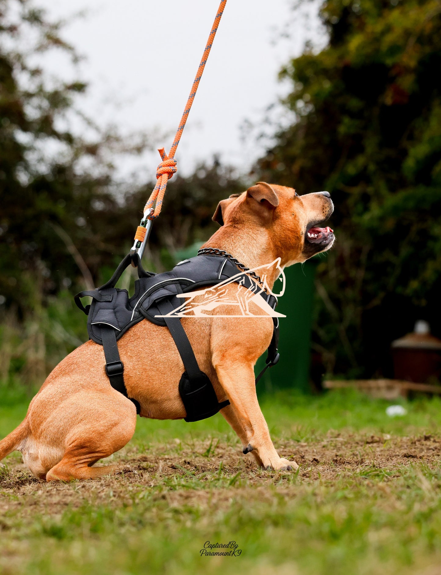 Topline's Ultra Games - Image 026