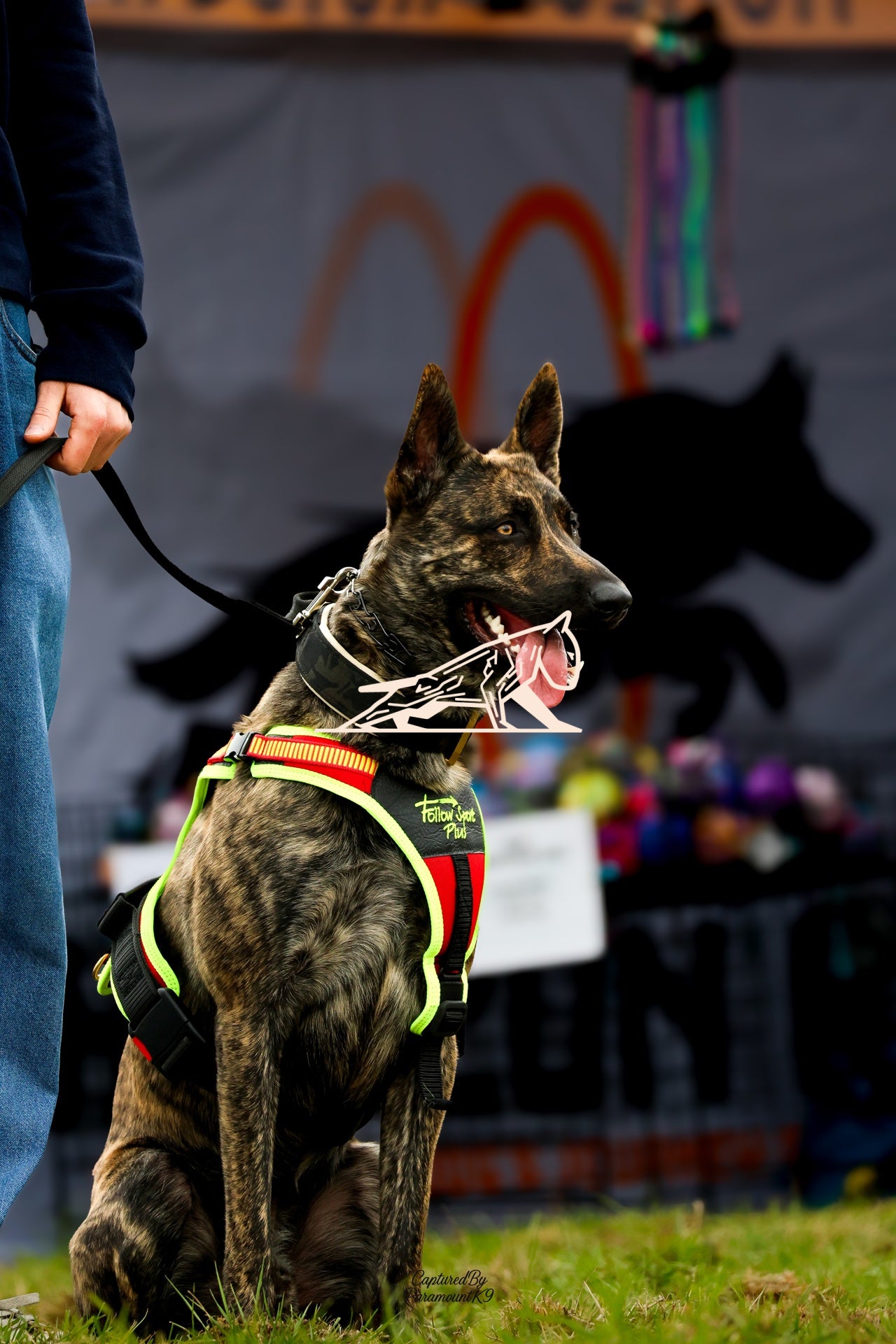 Topline's Ultra Games - Image 034