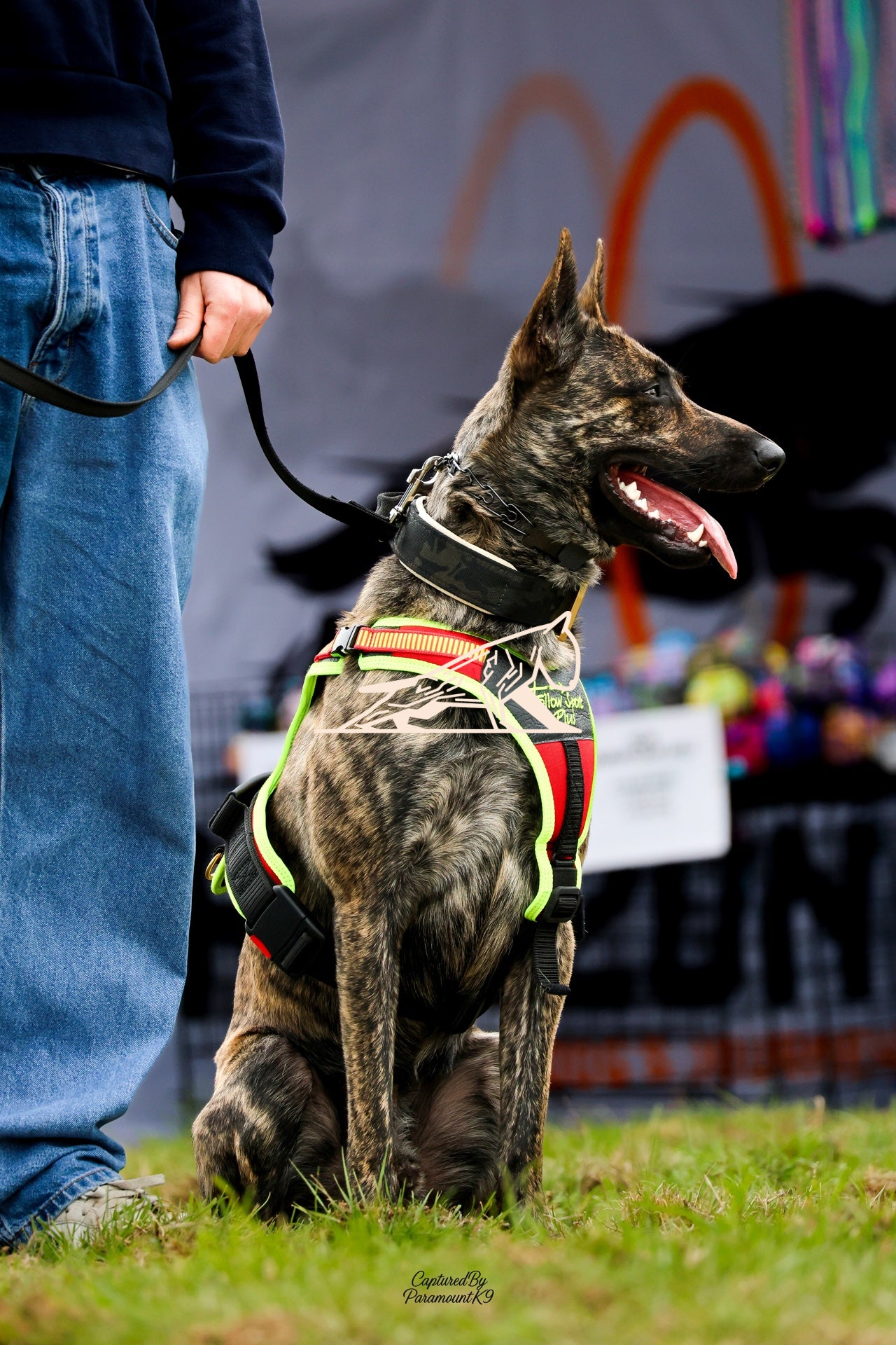 Topline's Ultra Games - Image 035