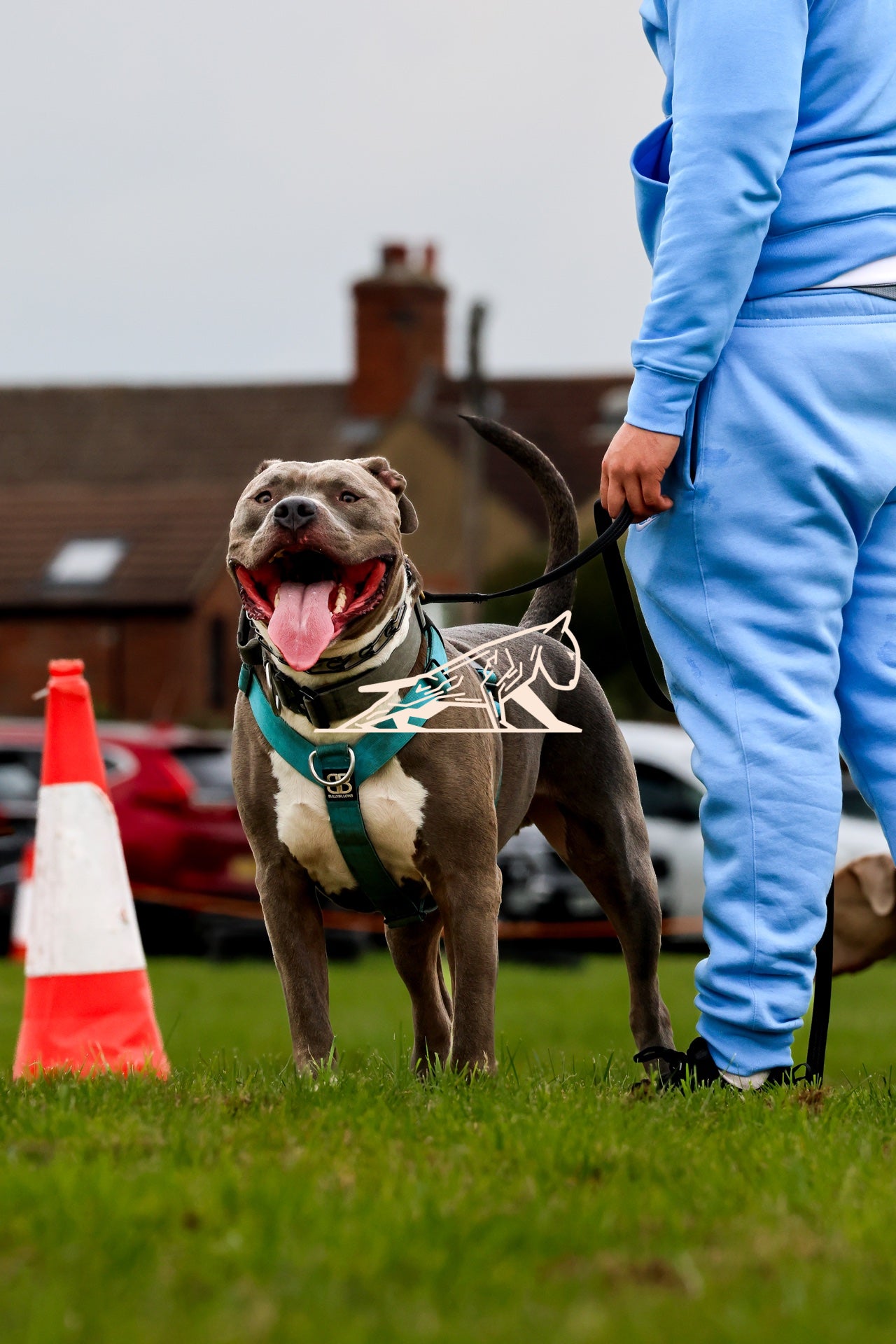 Topline's Ultra Games - Image 036