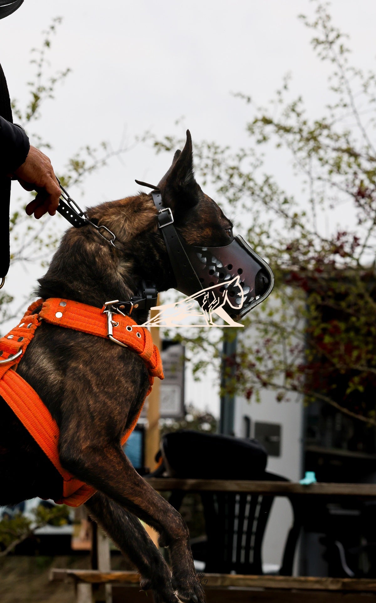 Topline's Ultra Games - Image 040