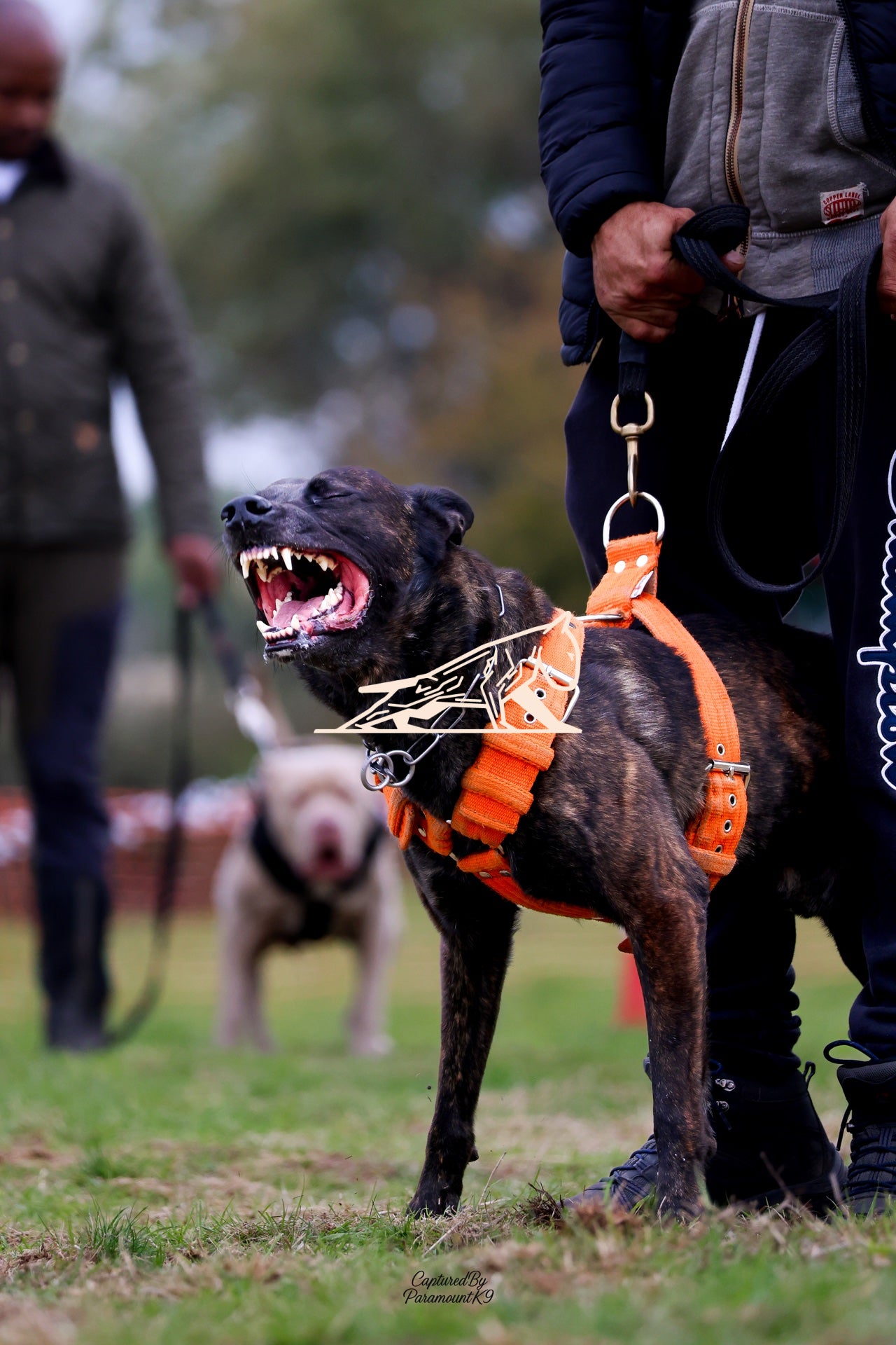 Topline's Ultra Games - Image 044