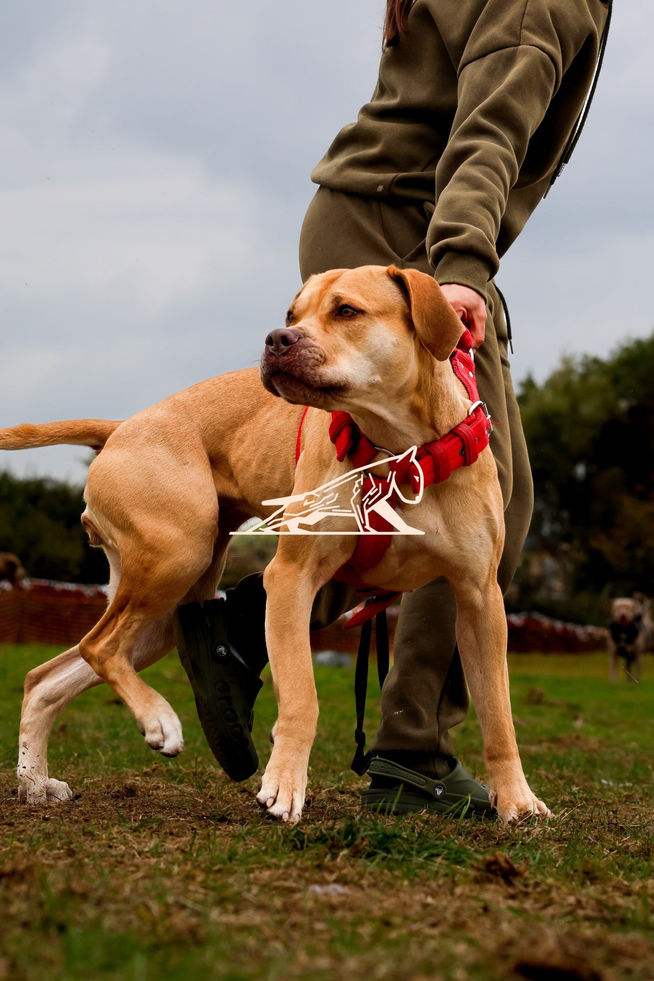 Topline's Ultra Games - Image 047