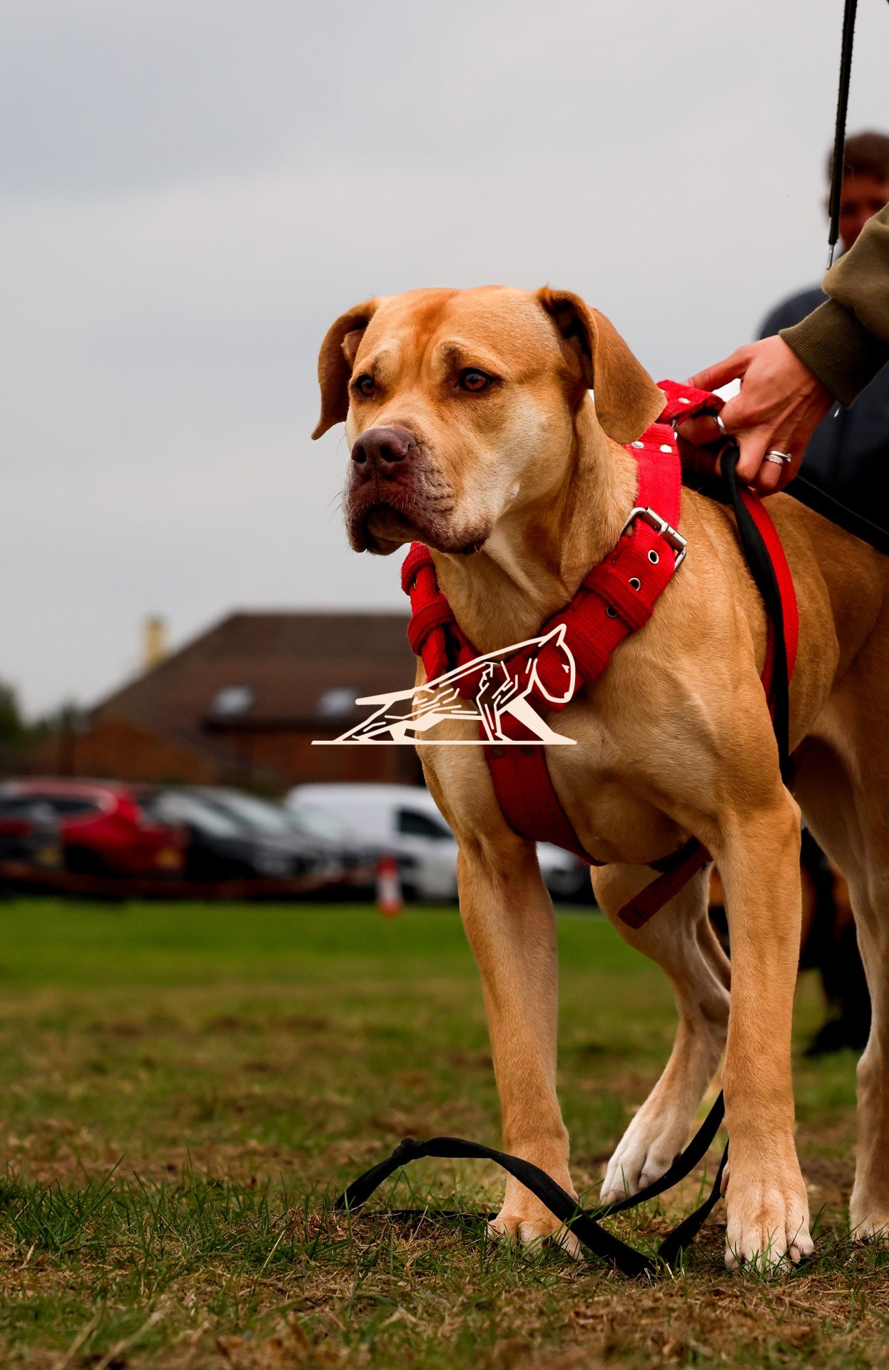 Topline's Ultra Games - Image 048