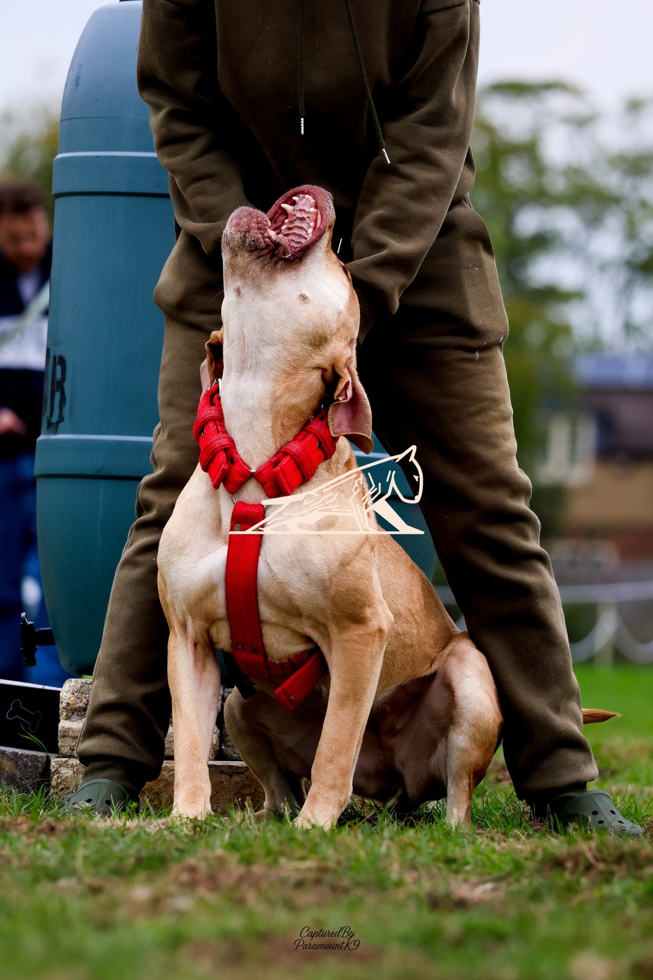 Topline's Ultra Games - Image 051