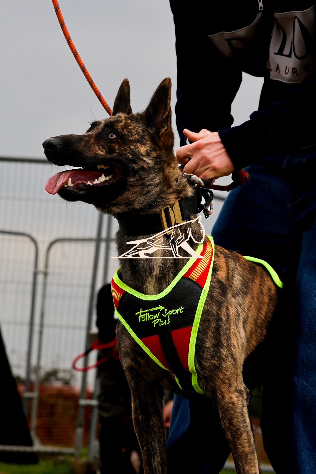 Topline's Ultra Games - Image 054