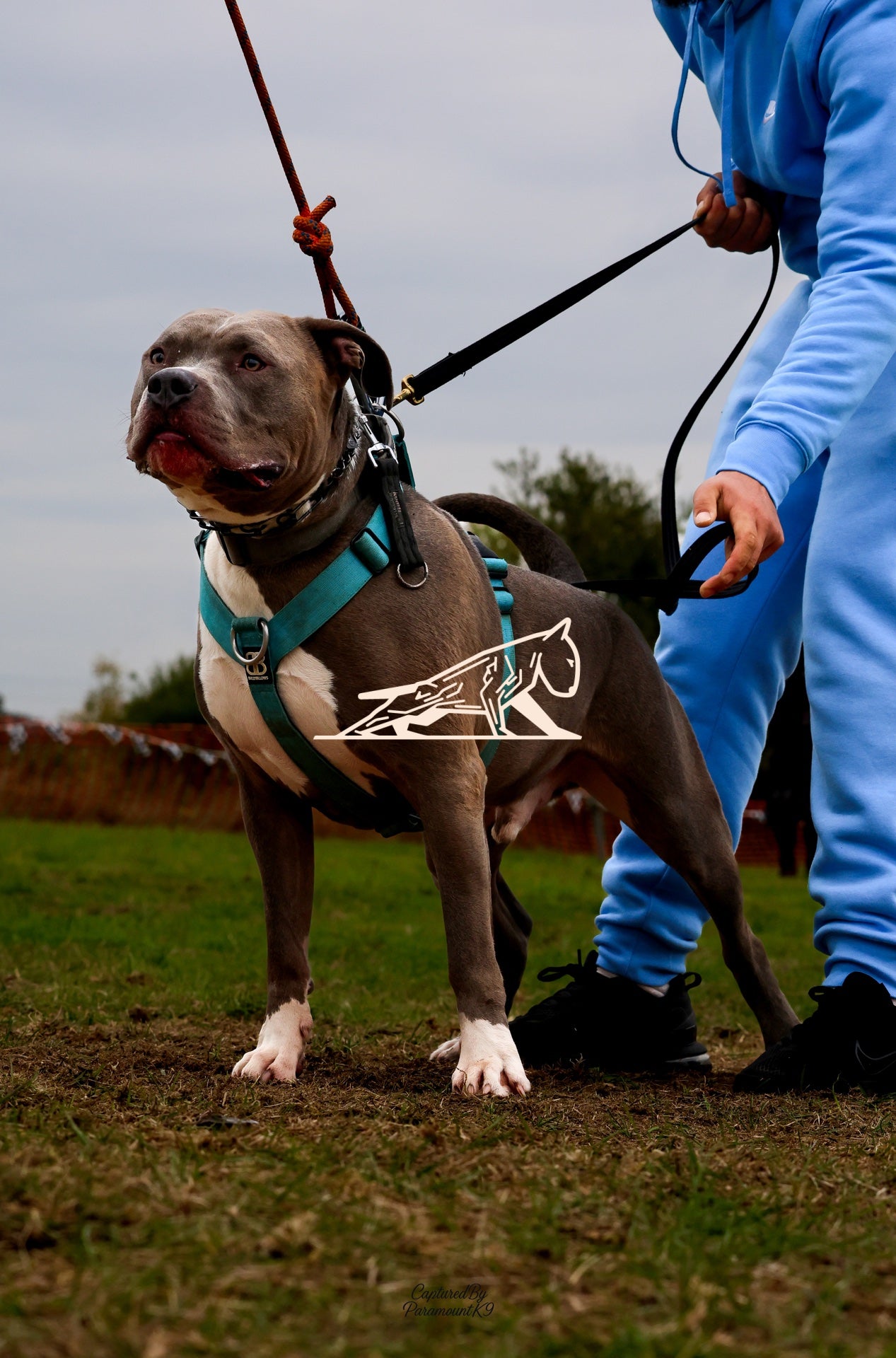 Topline's Ultra Games - Image 058