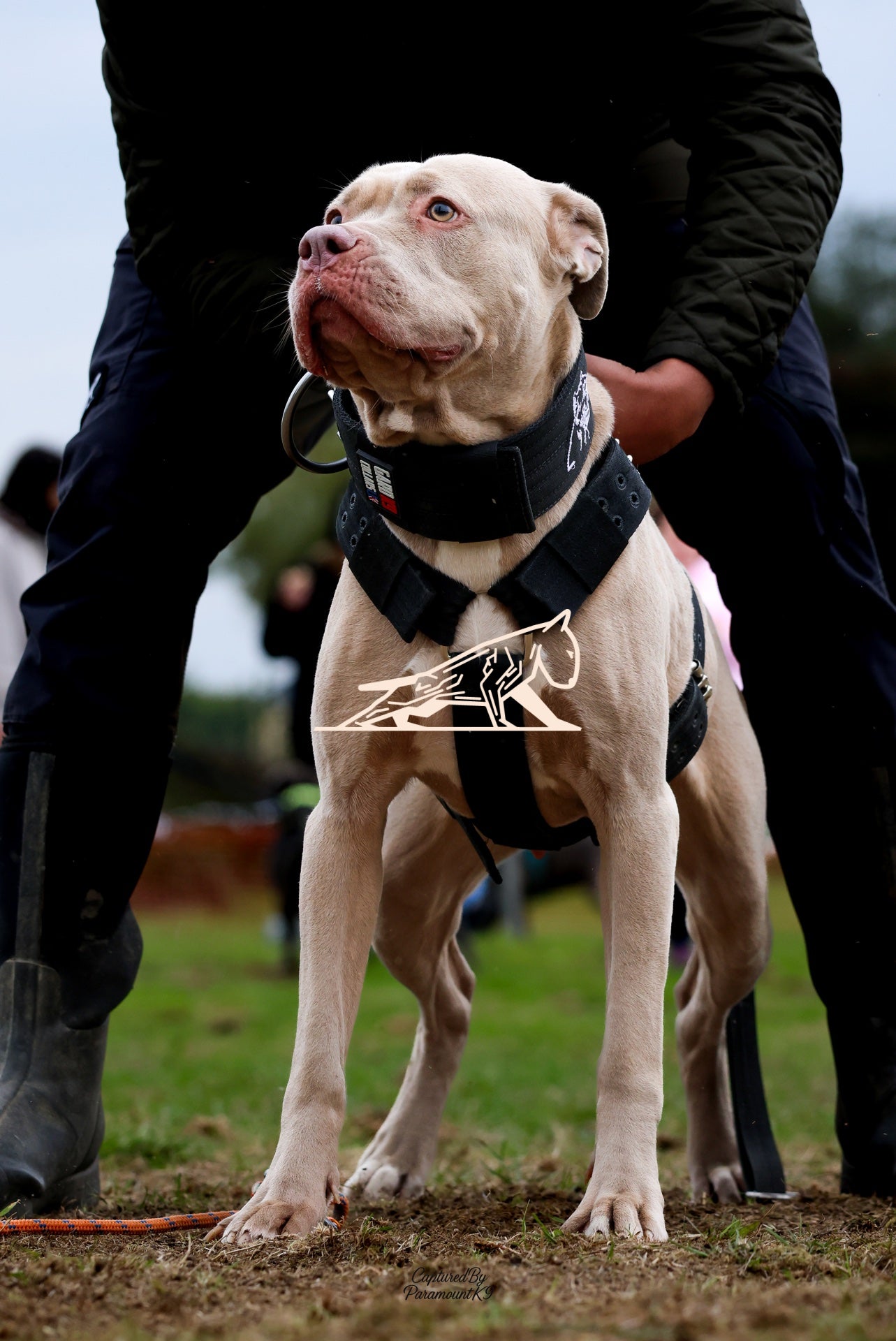 Topline's Ultra Games - Image 061