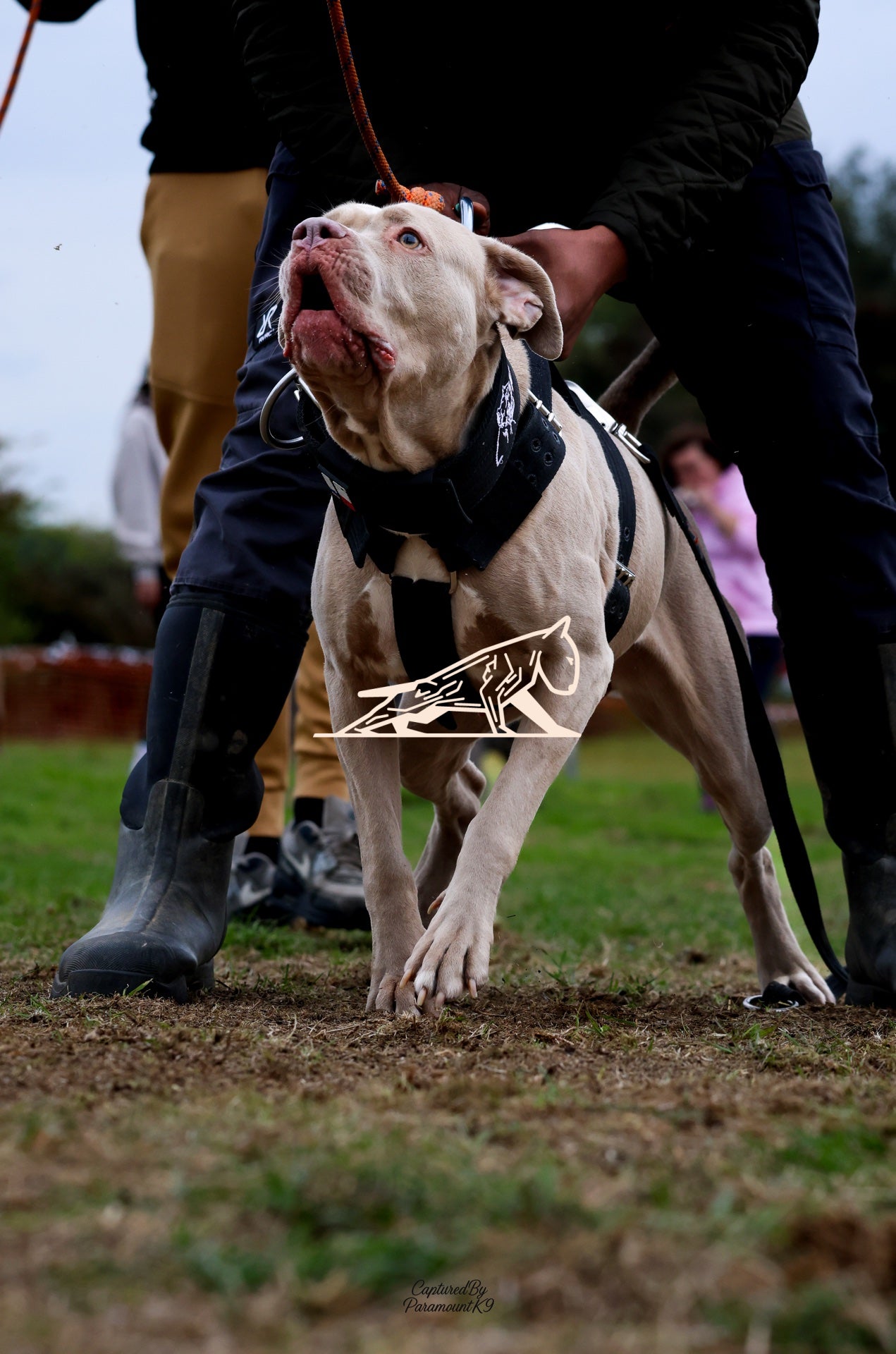 Topline's Ultra Games - Image 062