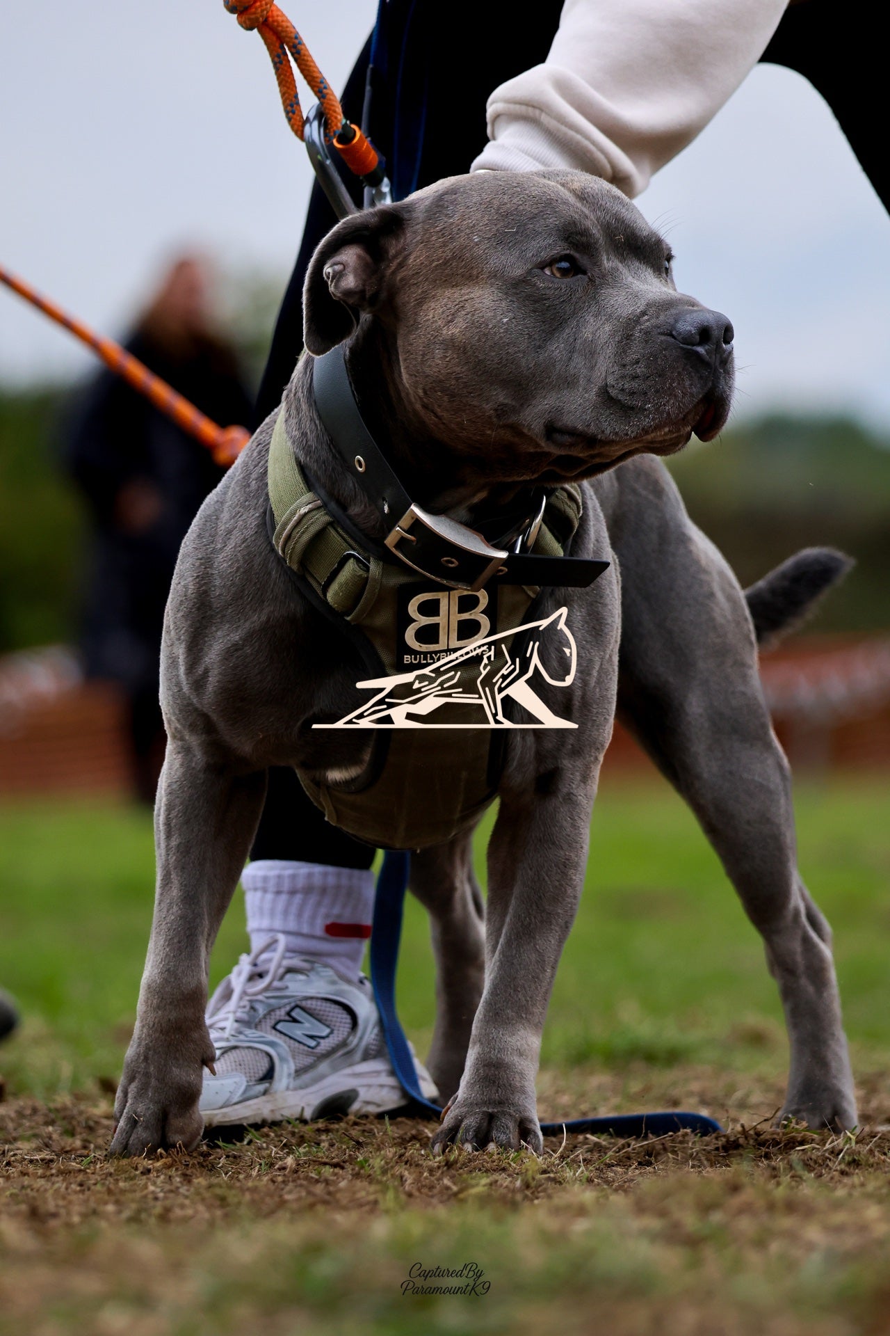 Topline's Ultra Games - Image 066