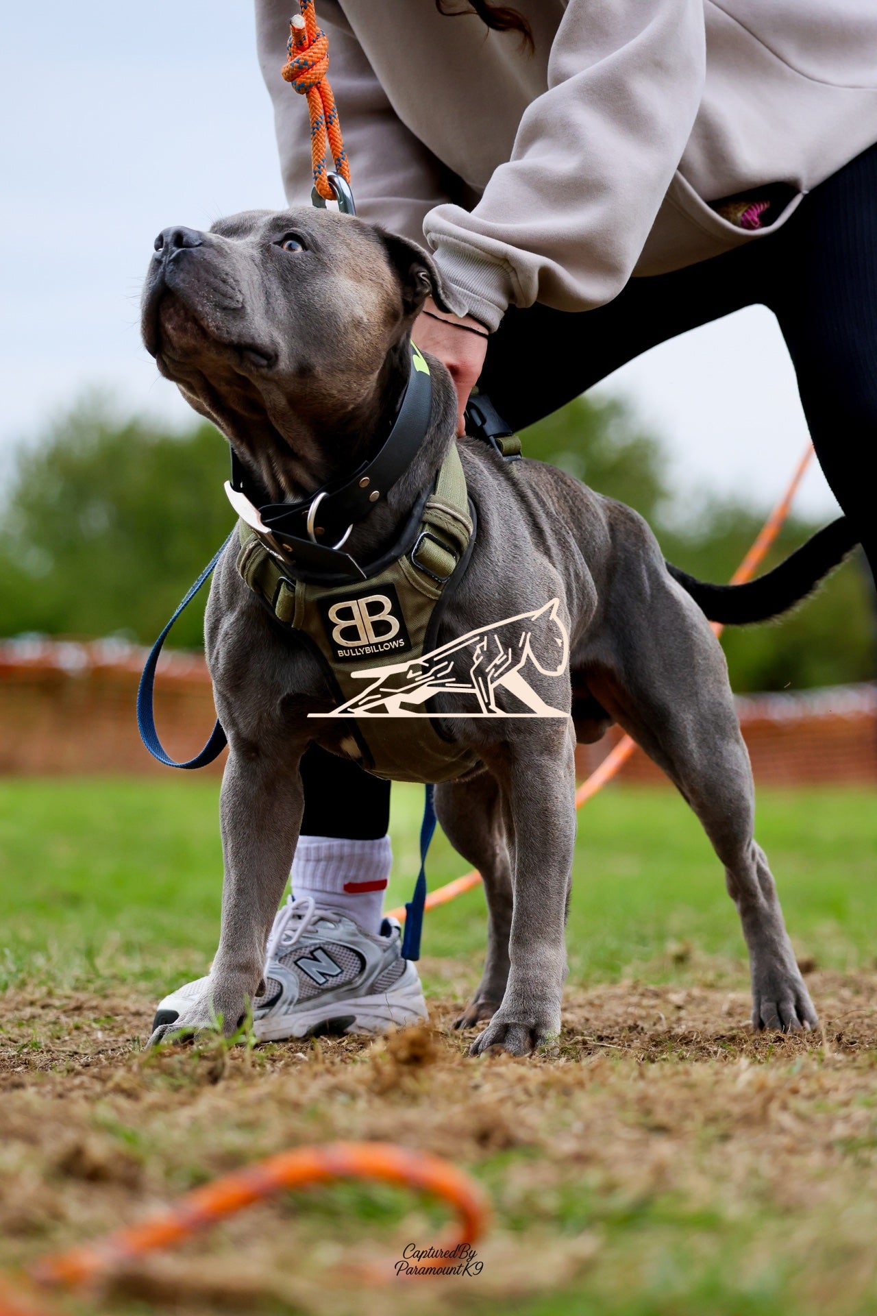 Topline's Ultra Games - Image 067