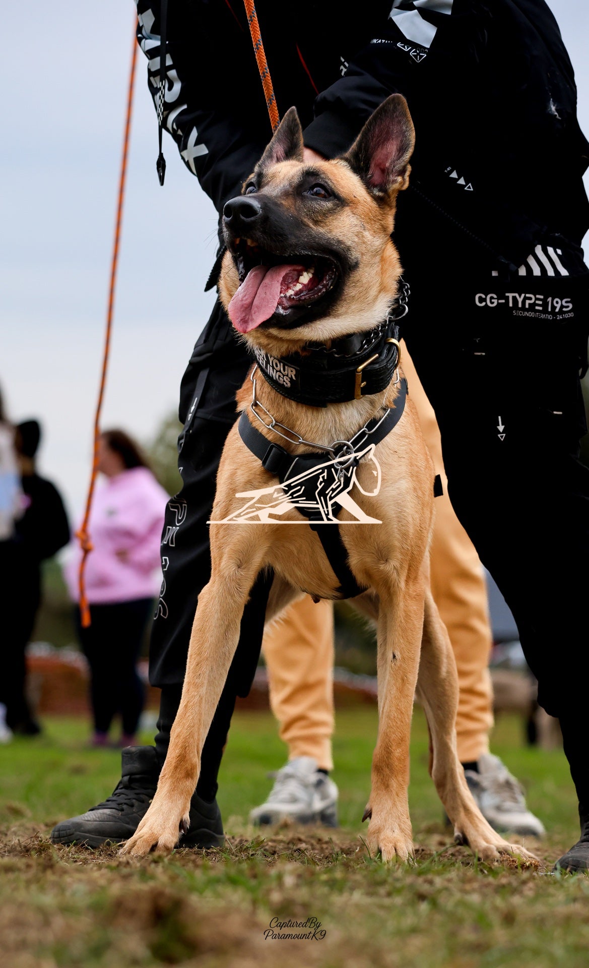 Topline's Ultra Games - Image 070