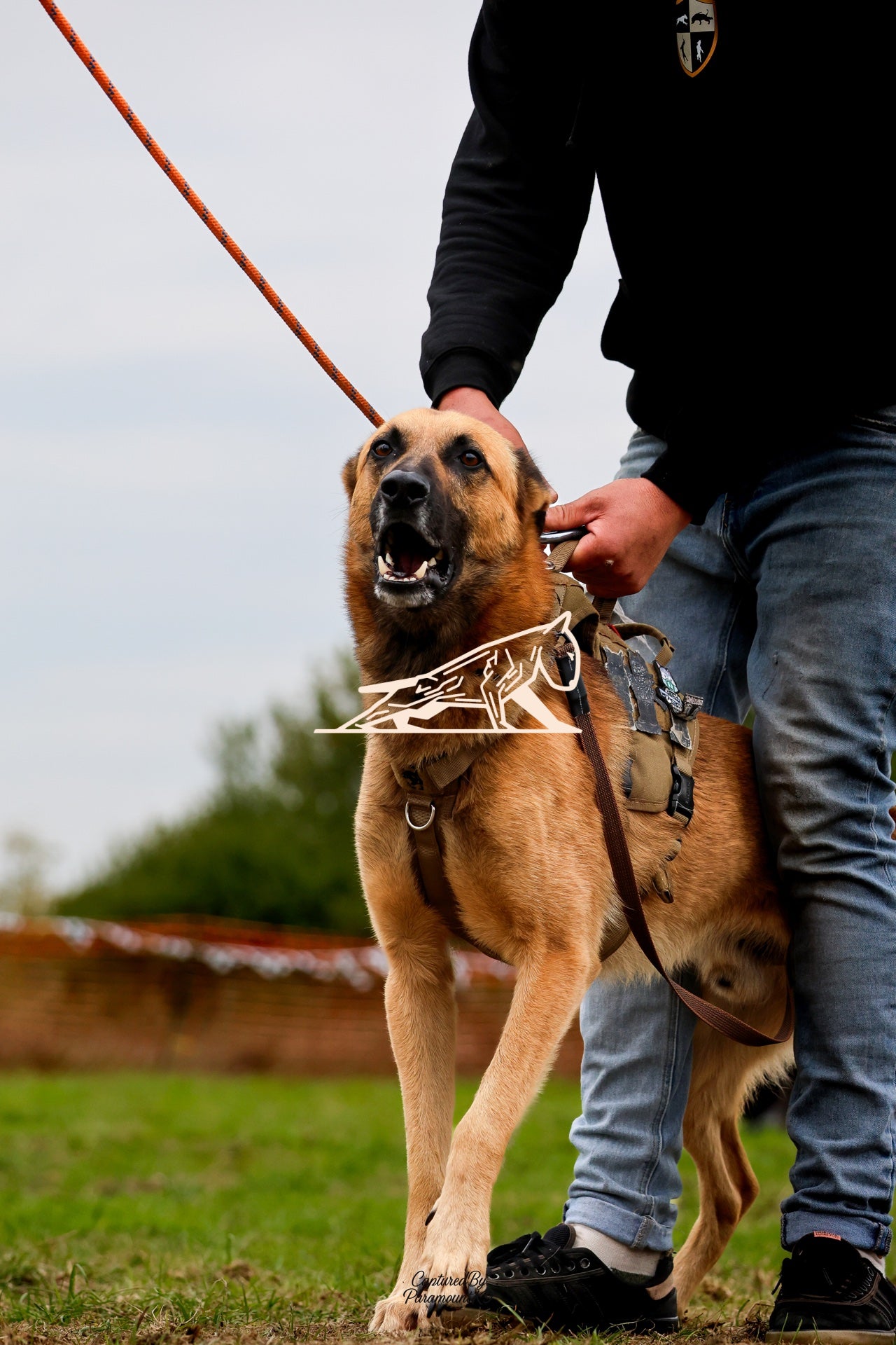 Topline's Ultra Games - Image 073