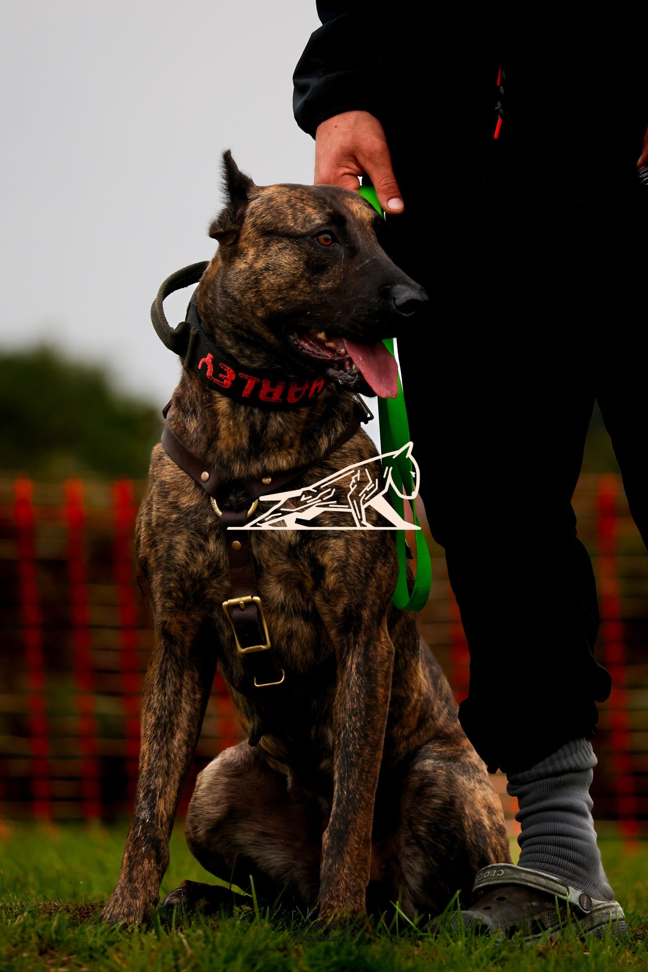 Topline's Ultra Games - Image 078