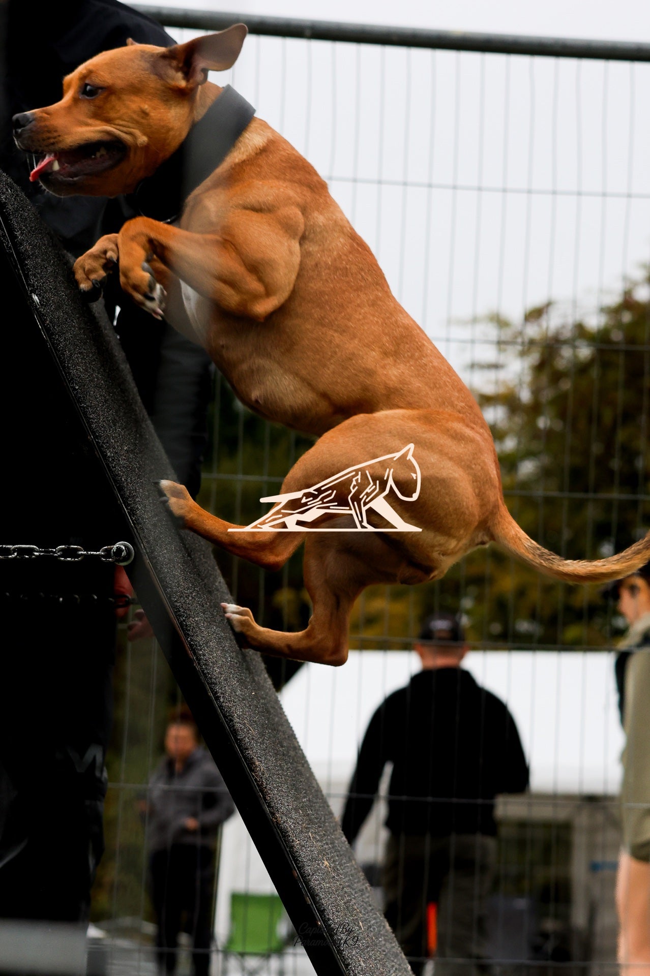 Topline's Ultra Games - Image 081