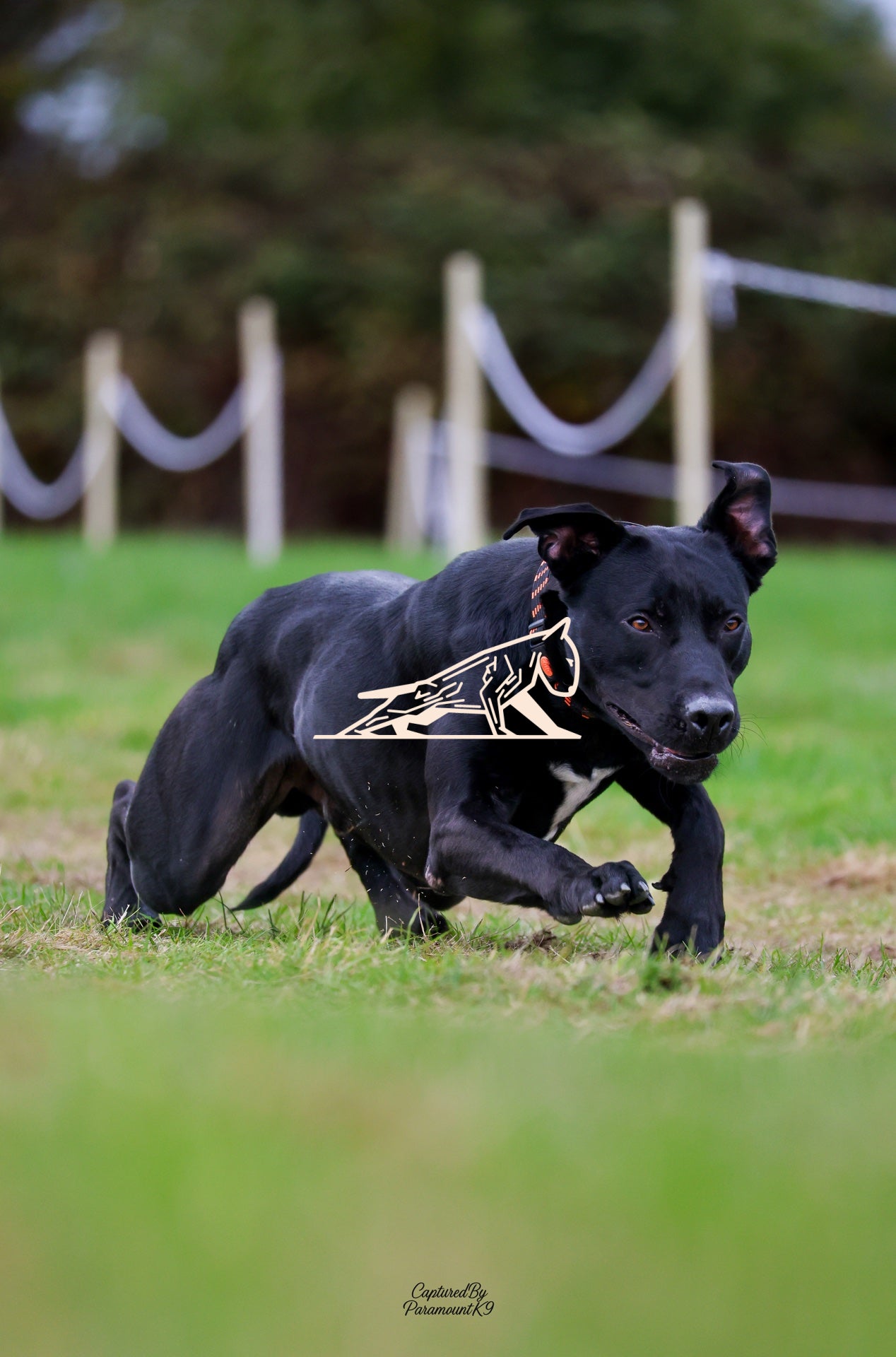 Topline's Ultra Games - Image 093