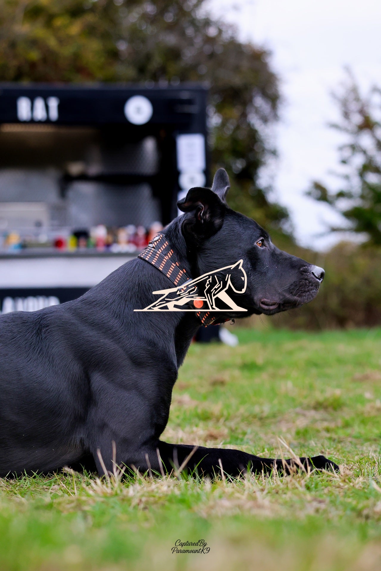 Topline's Ultra Games - Image 094