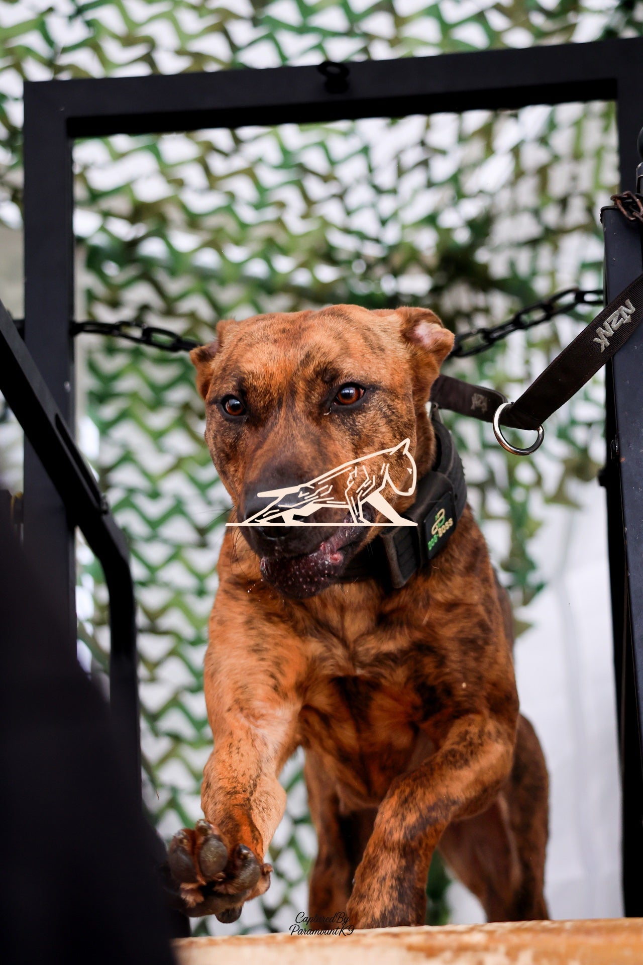 Topline's Ultra Games - Image 099