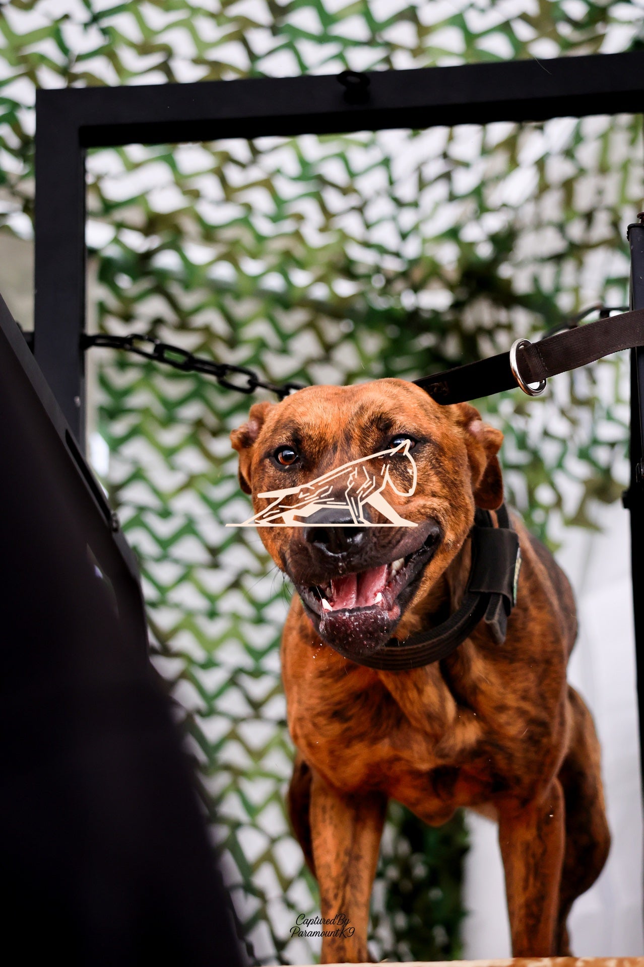 Topline's Ultra Games - Image 100