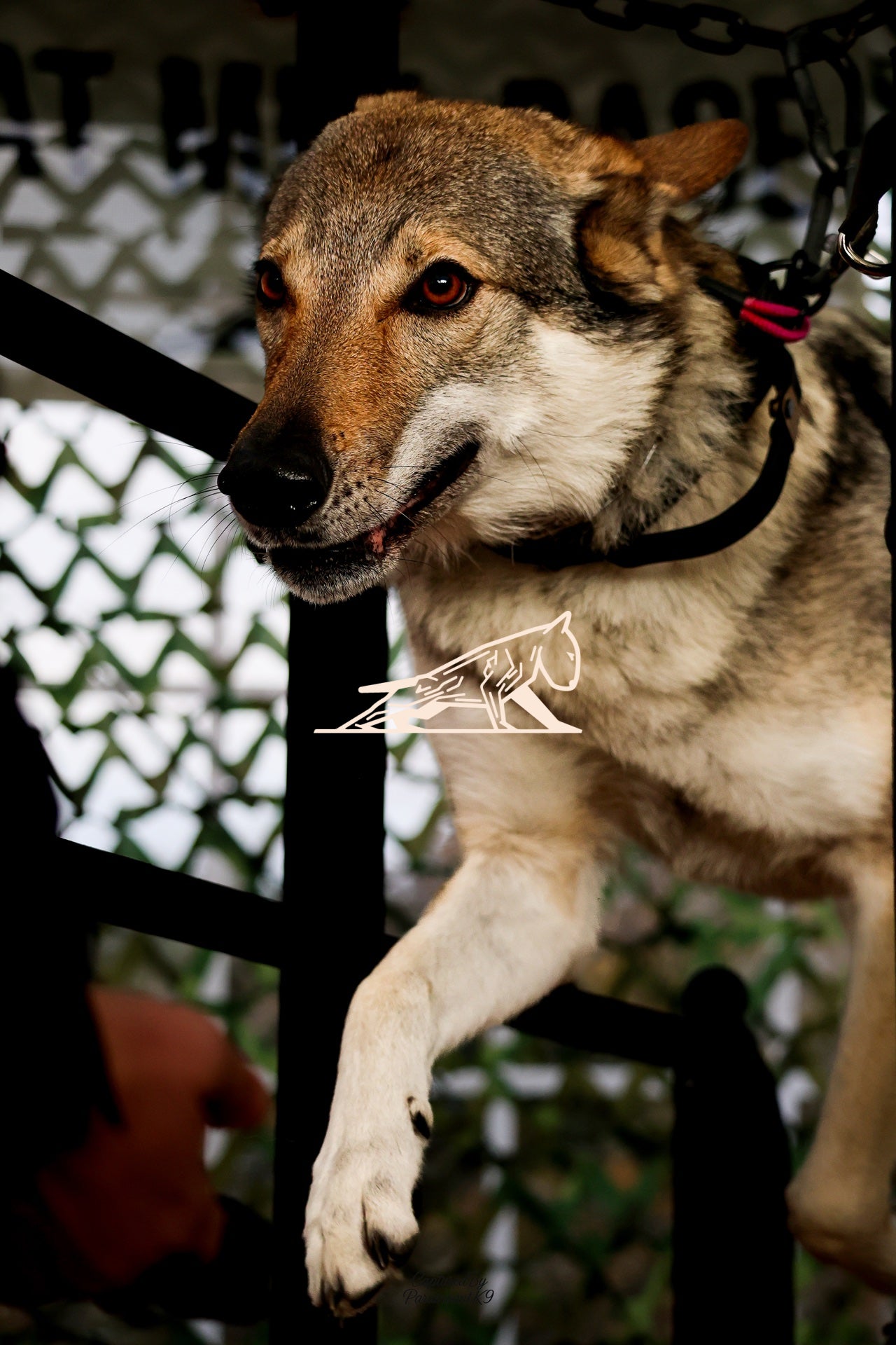 Topline's Ultra Games - Image 104