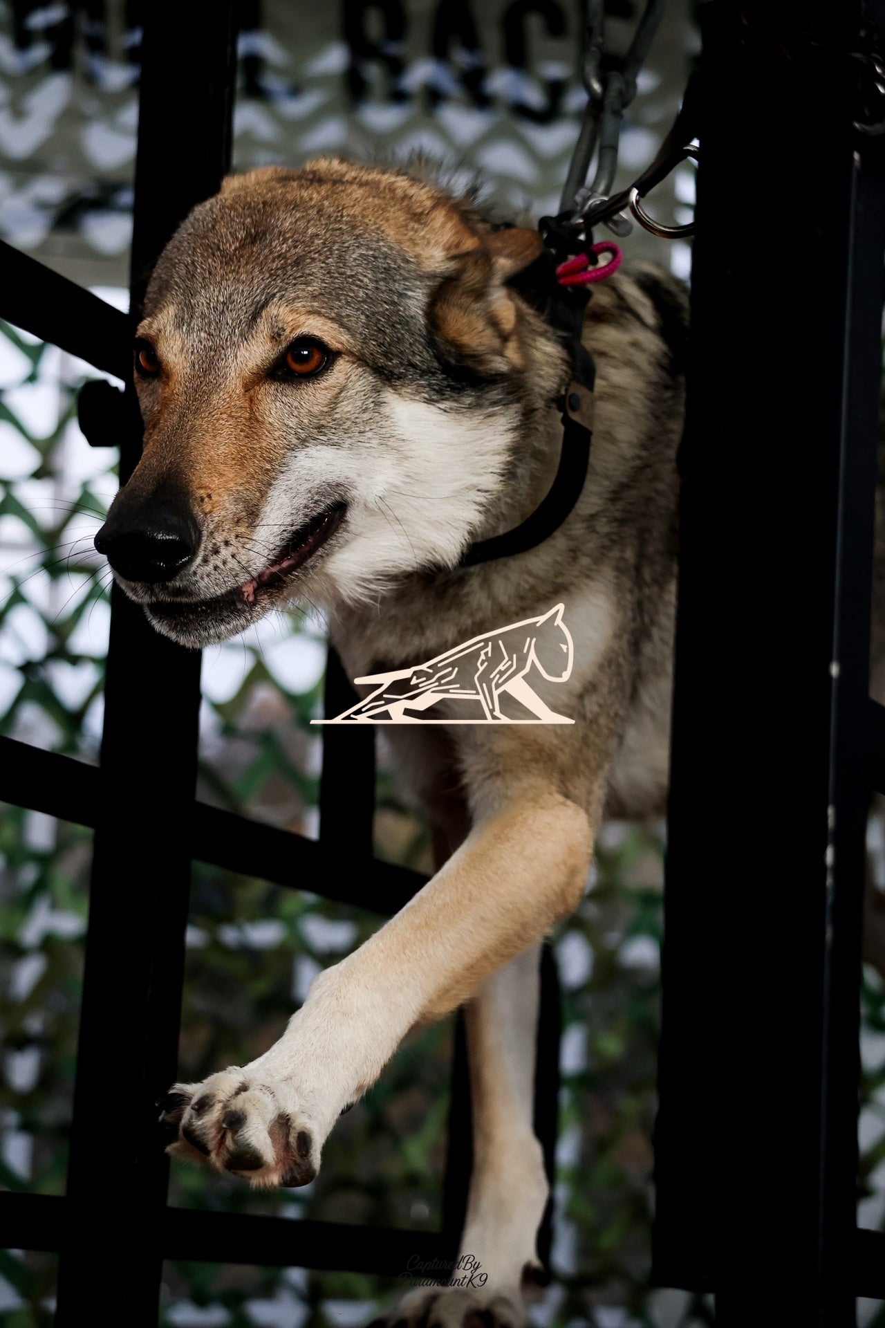 Topline's Ultra Games - Image 105