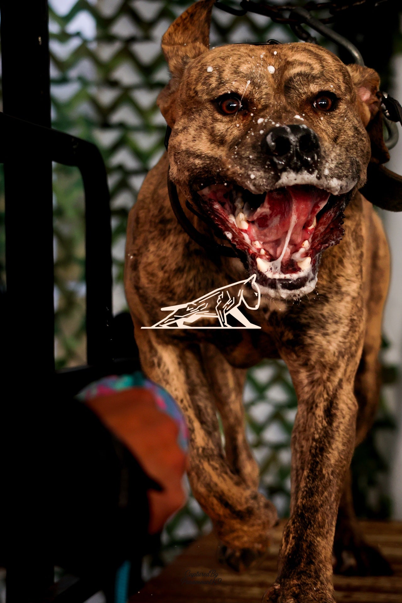 Topline's Ultra Games - Image 111