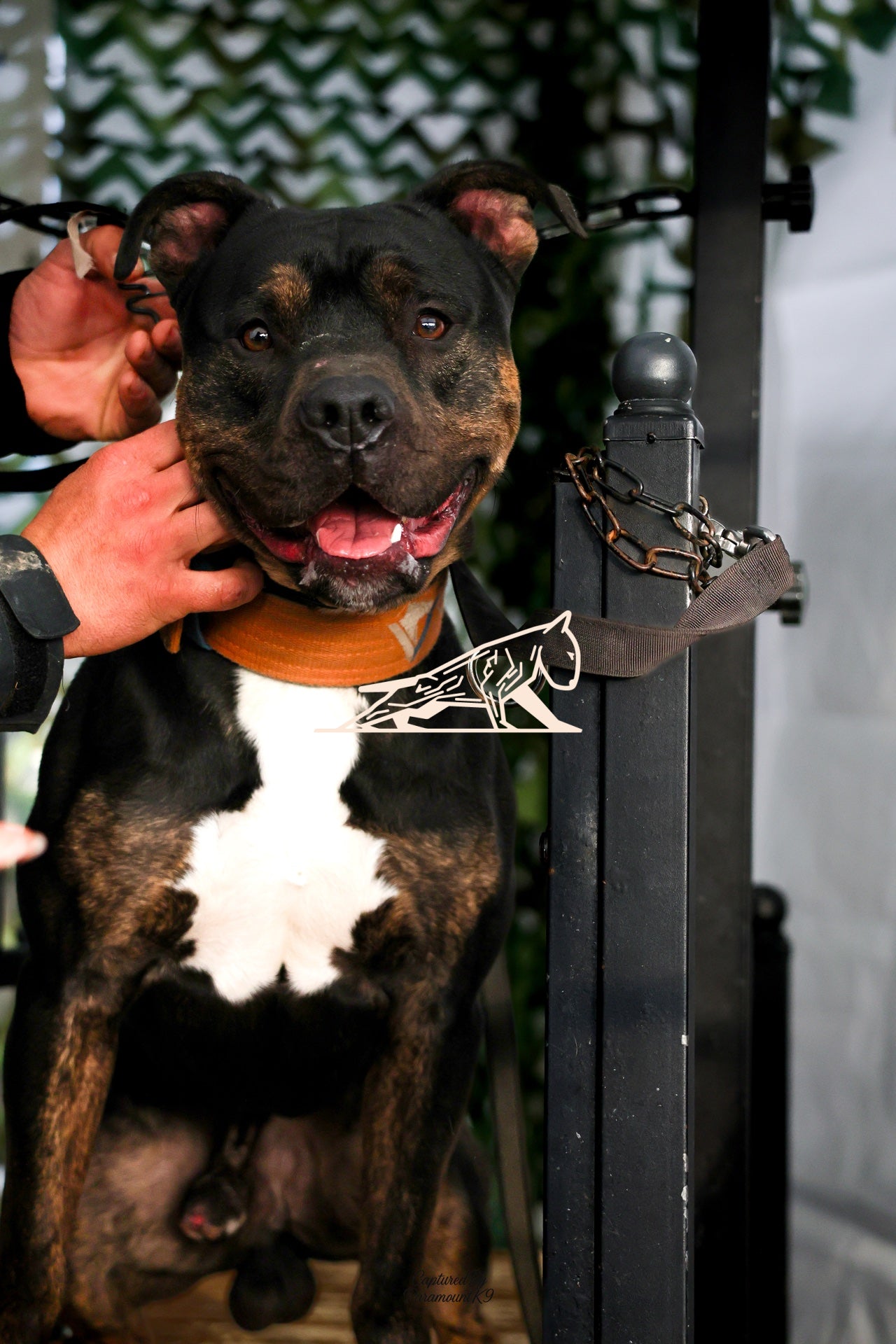 Topline's Ultra Games - Image 115