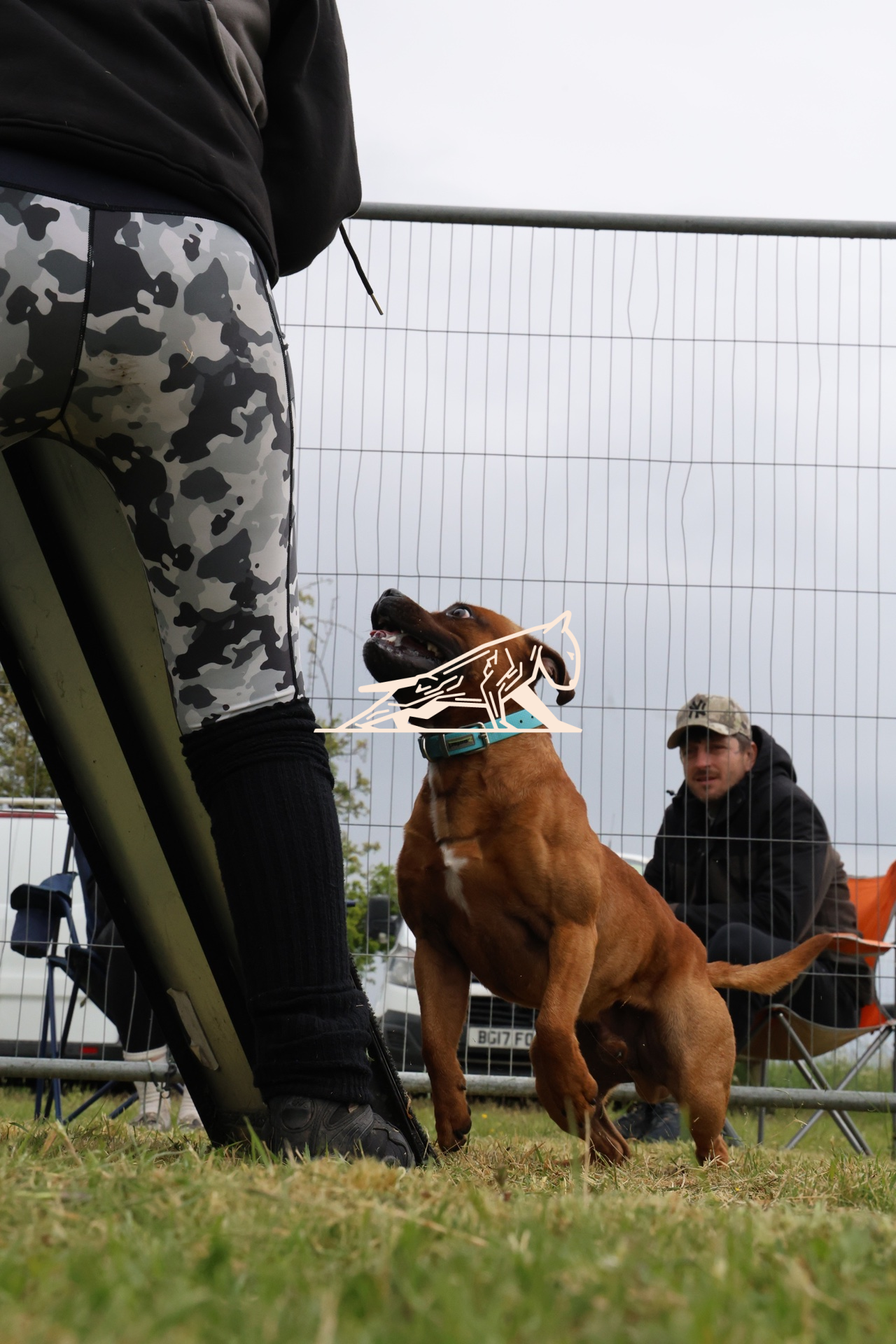 Top Line Canine Summer Opener - Image 001