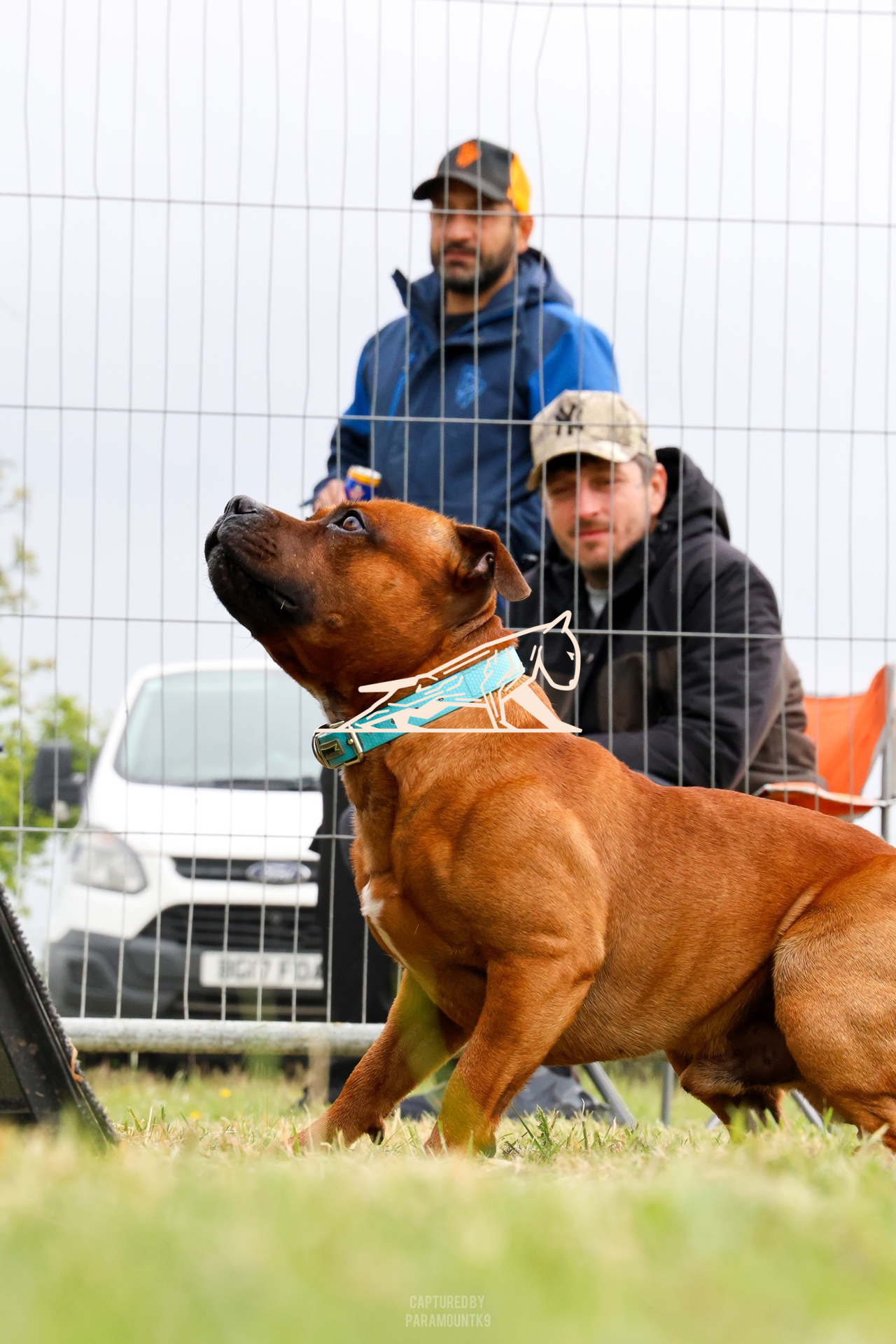 Top Line Canine Summer Opener - Image 041