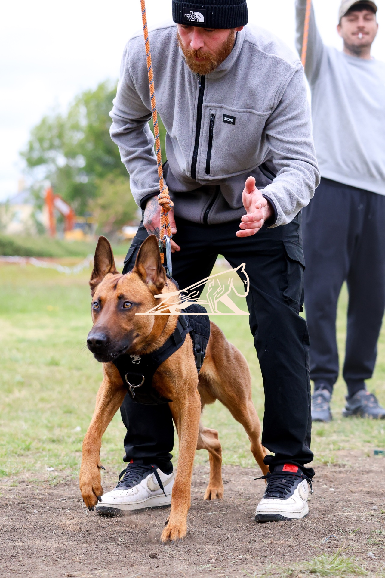Top Line Canine Summer Opener - Image 062