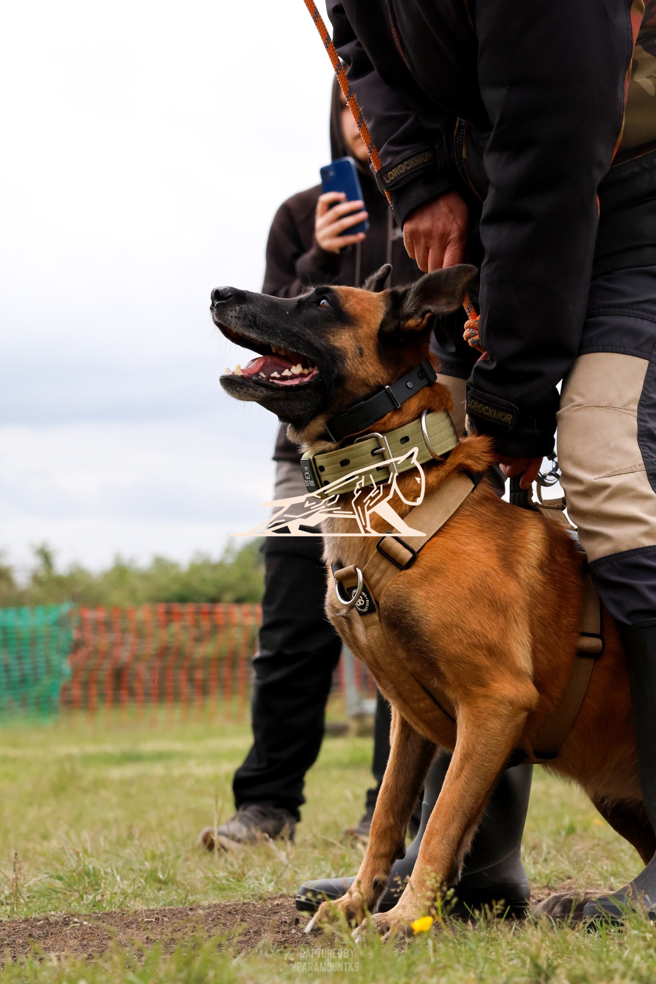 Top Line Canine Summer Opener - Image 108