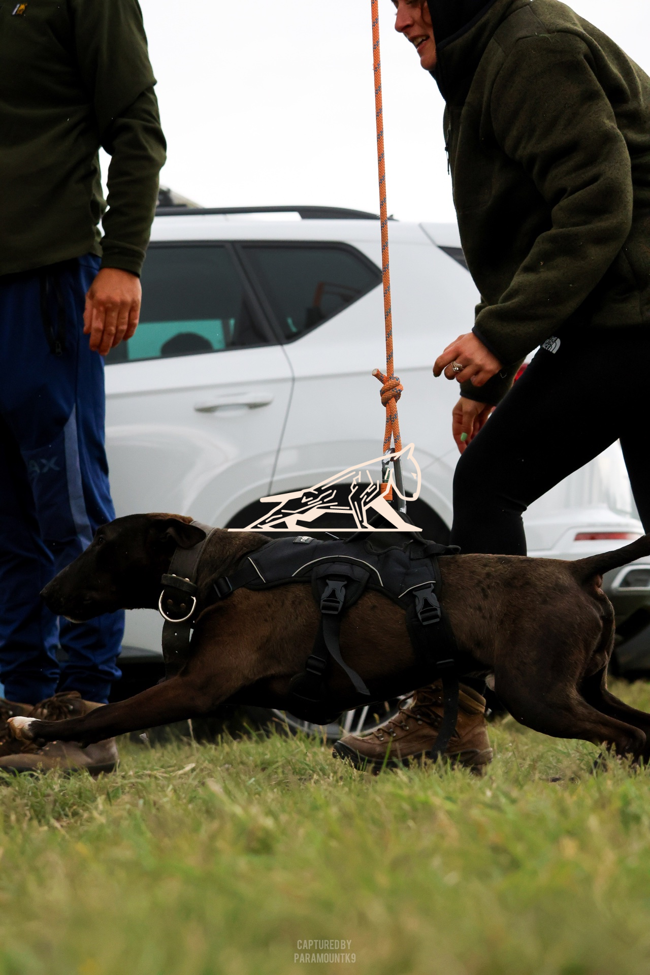 Top Line Canine Summer Opener - Image 125