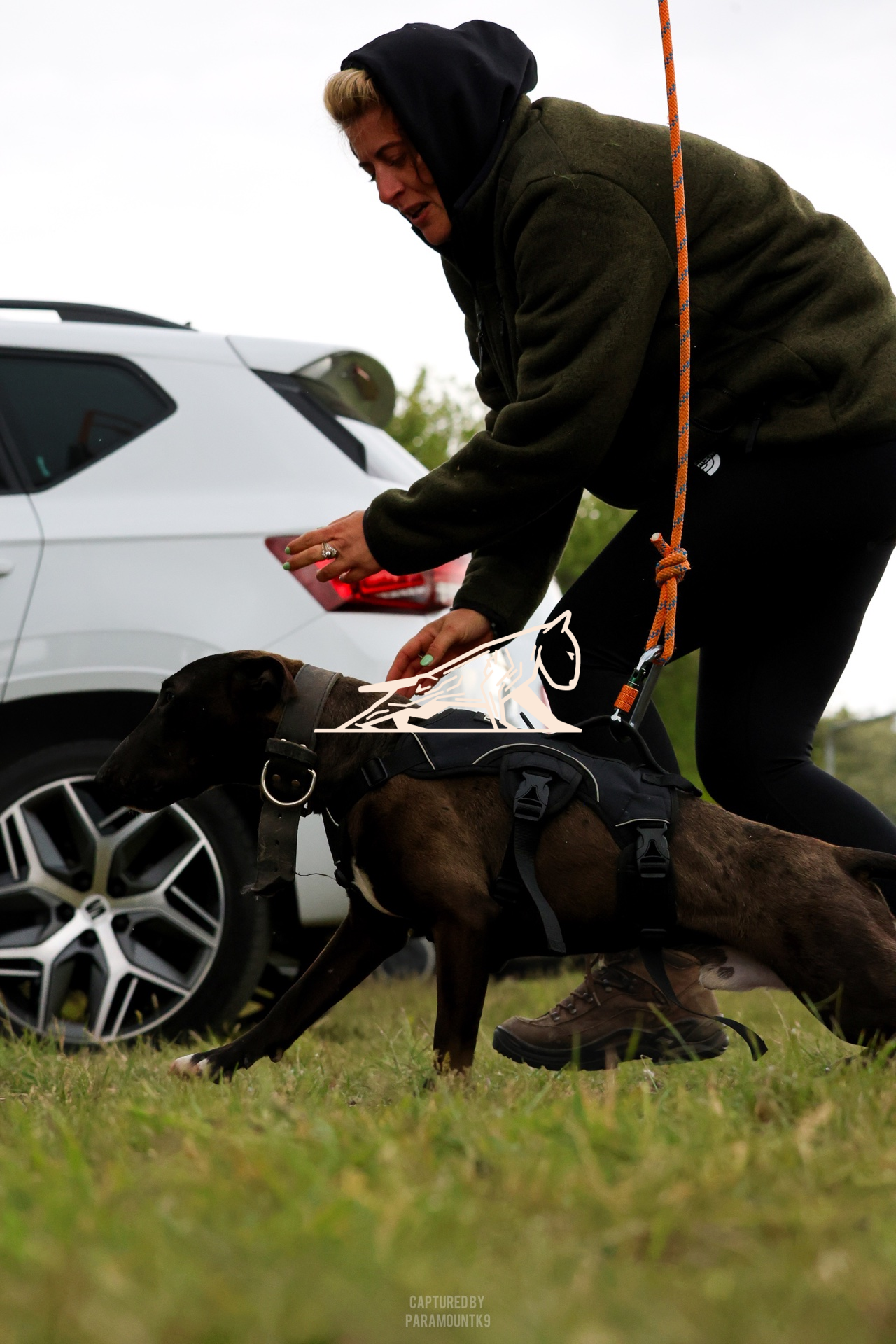 Top Line Canine Summer Opener - Image 126