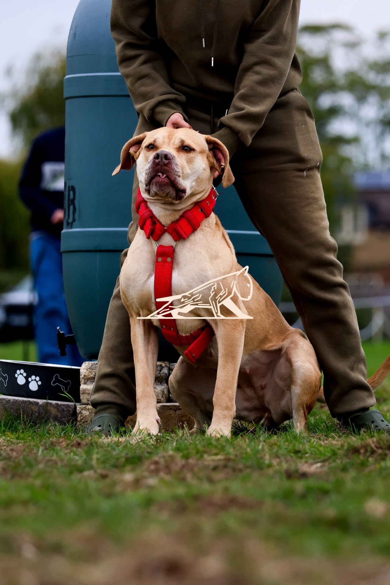 Topline's Ultra Games