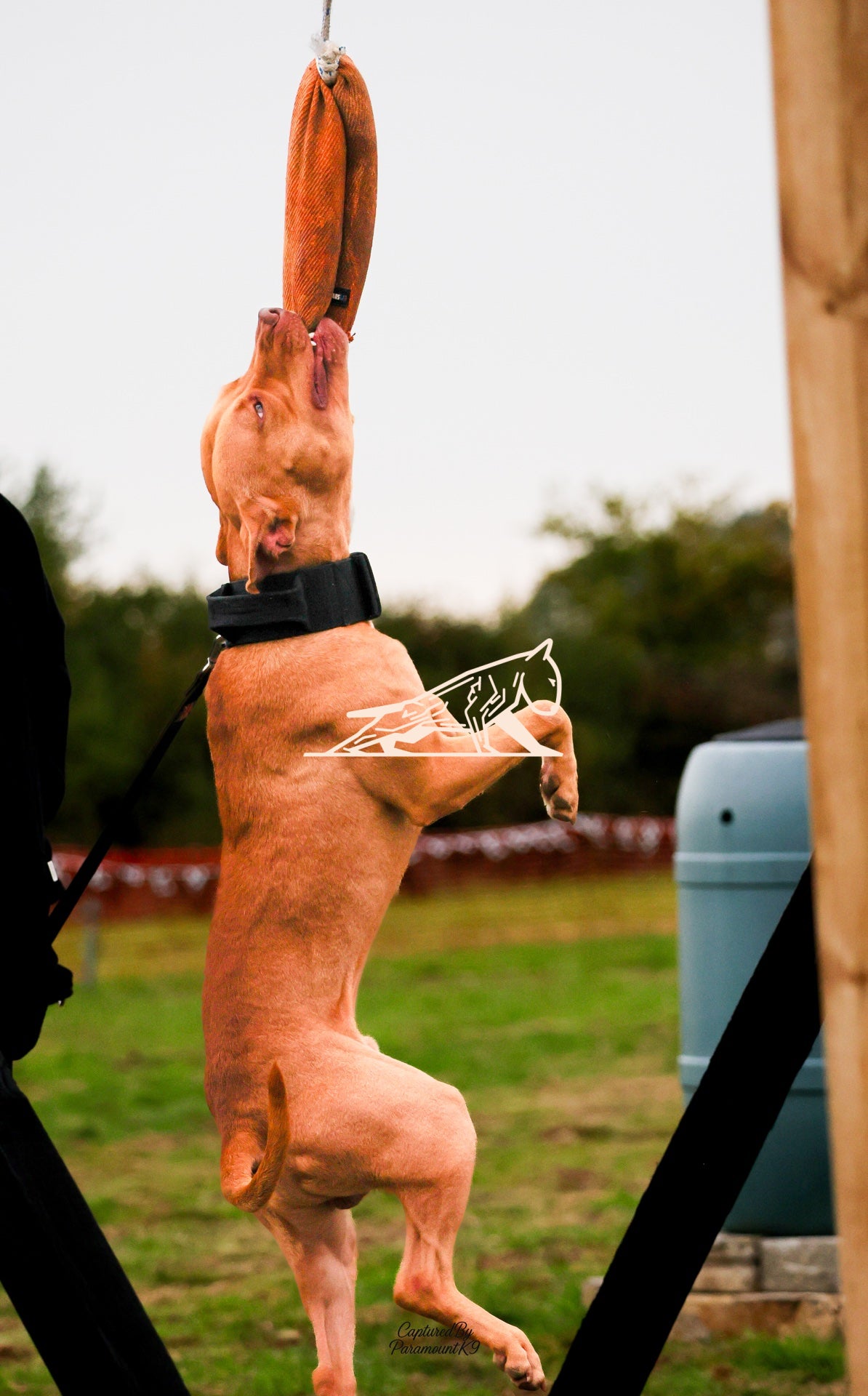 Topline's Ultra Games - Image 002