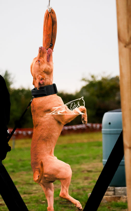 Topline's Ultra Games - Image 002