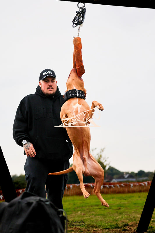 Topline's Ultra Games - Image 004