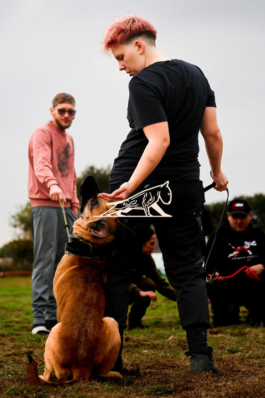 Topline's Ultra Games - Image 005