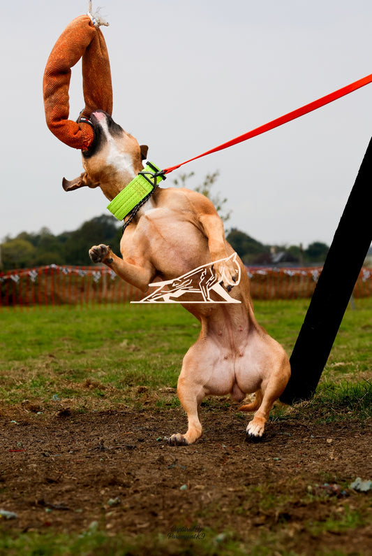 Topline's Ultra Games - Image 008