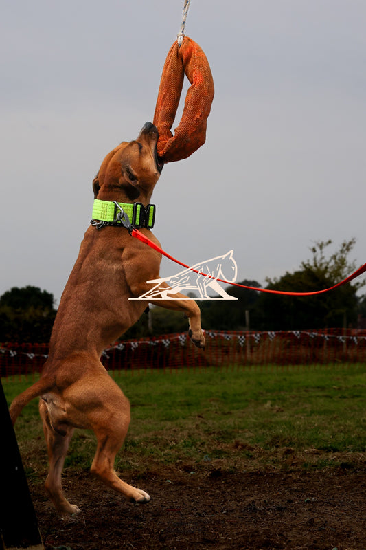 Topline's Ultra Games - Image 010