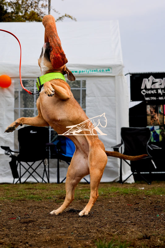 Topline's Ultra Games - Image 011