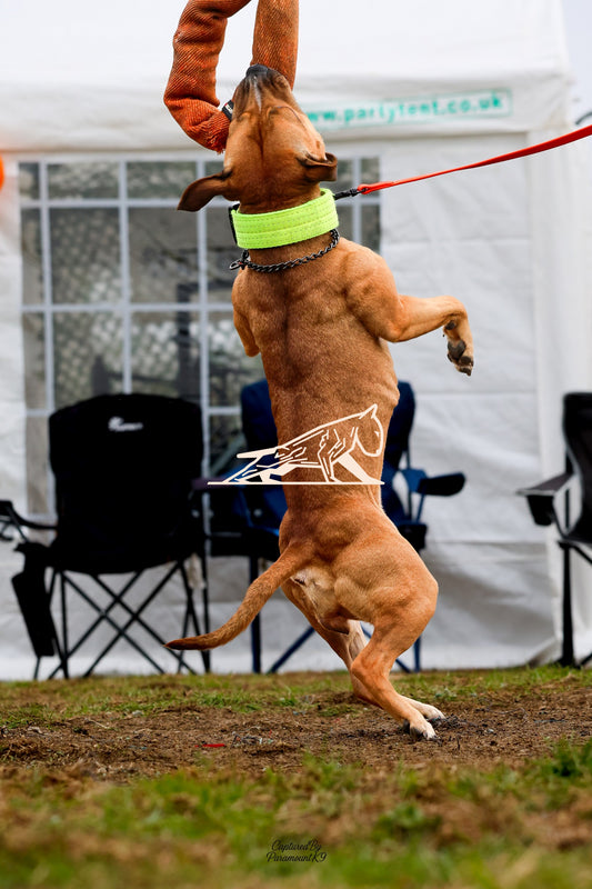 Topline's Ultra Games - Image 013