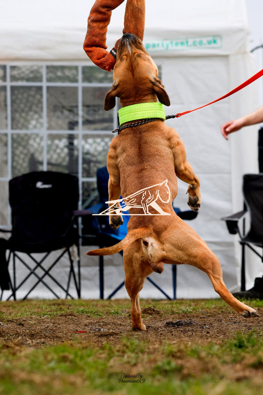 Topline's Ultra Games - Image 014